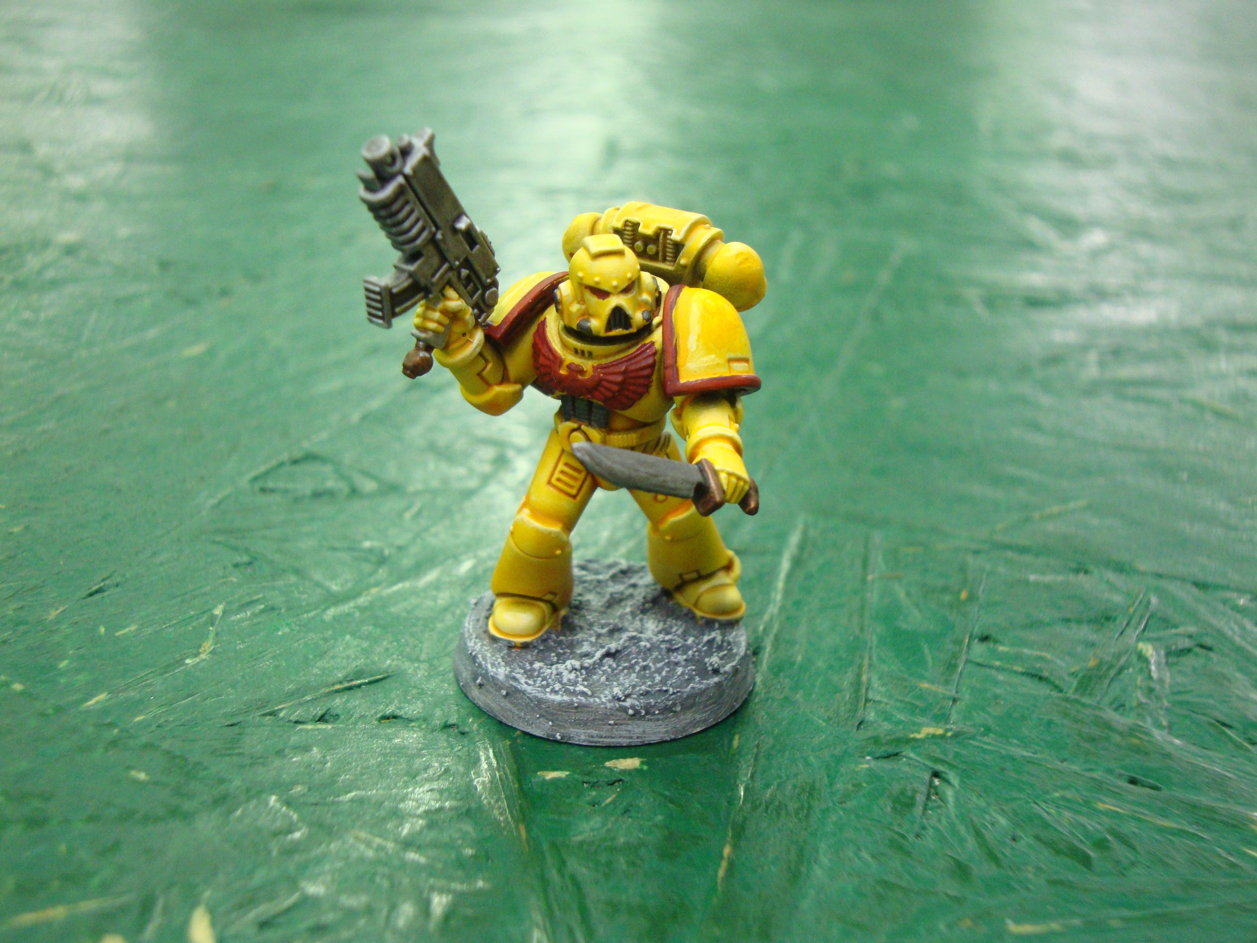 Imperial Fists, Space Marines, Yellow