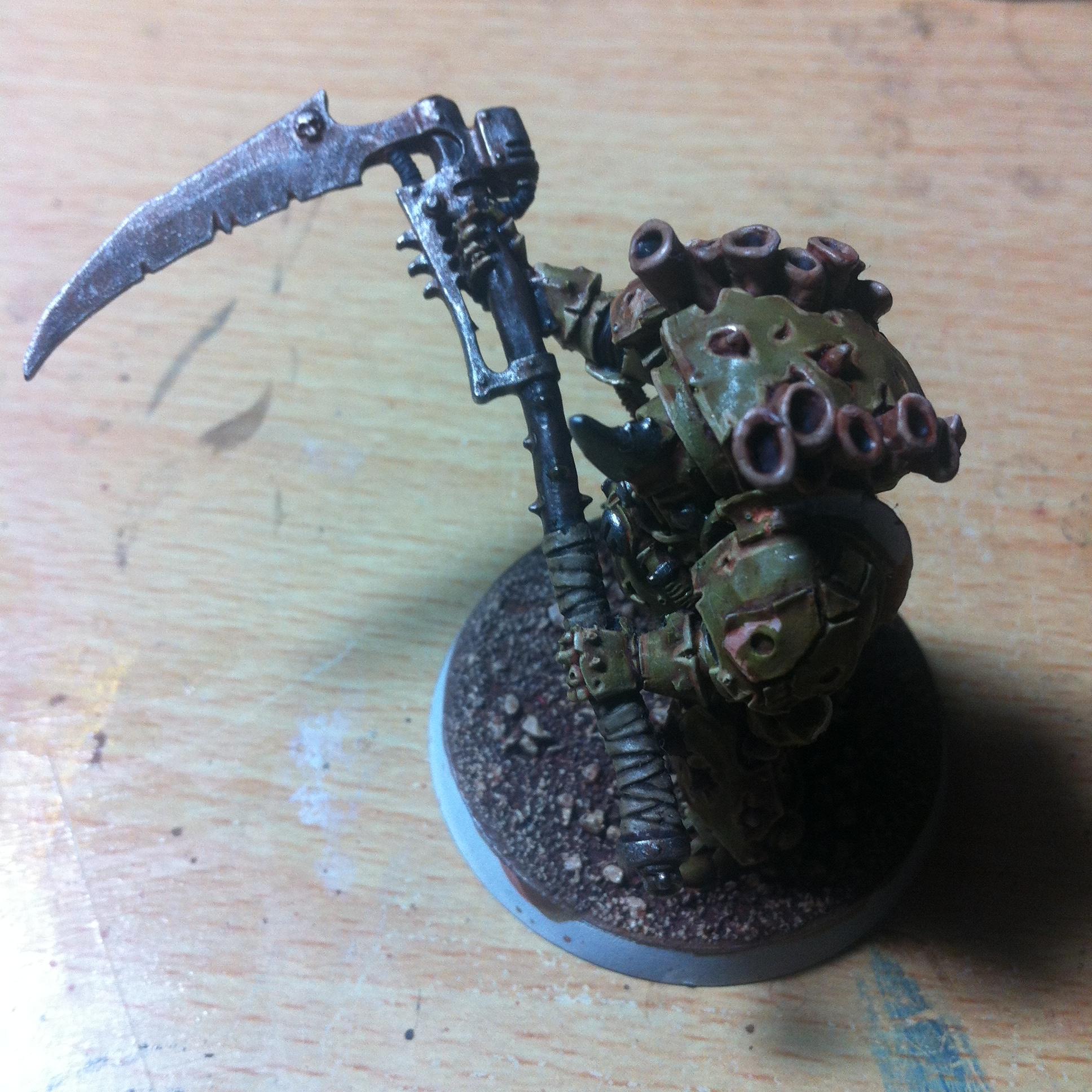 Typhus