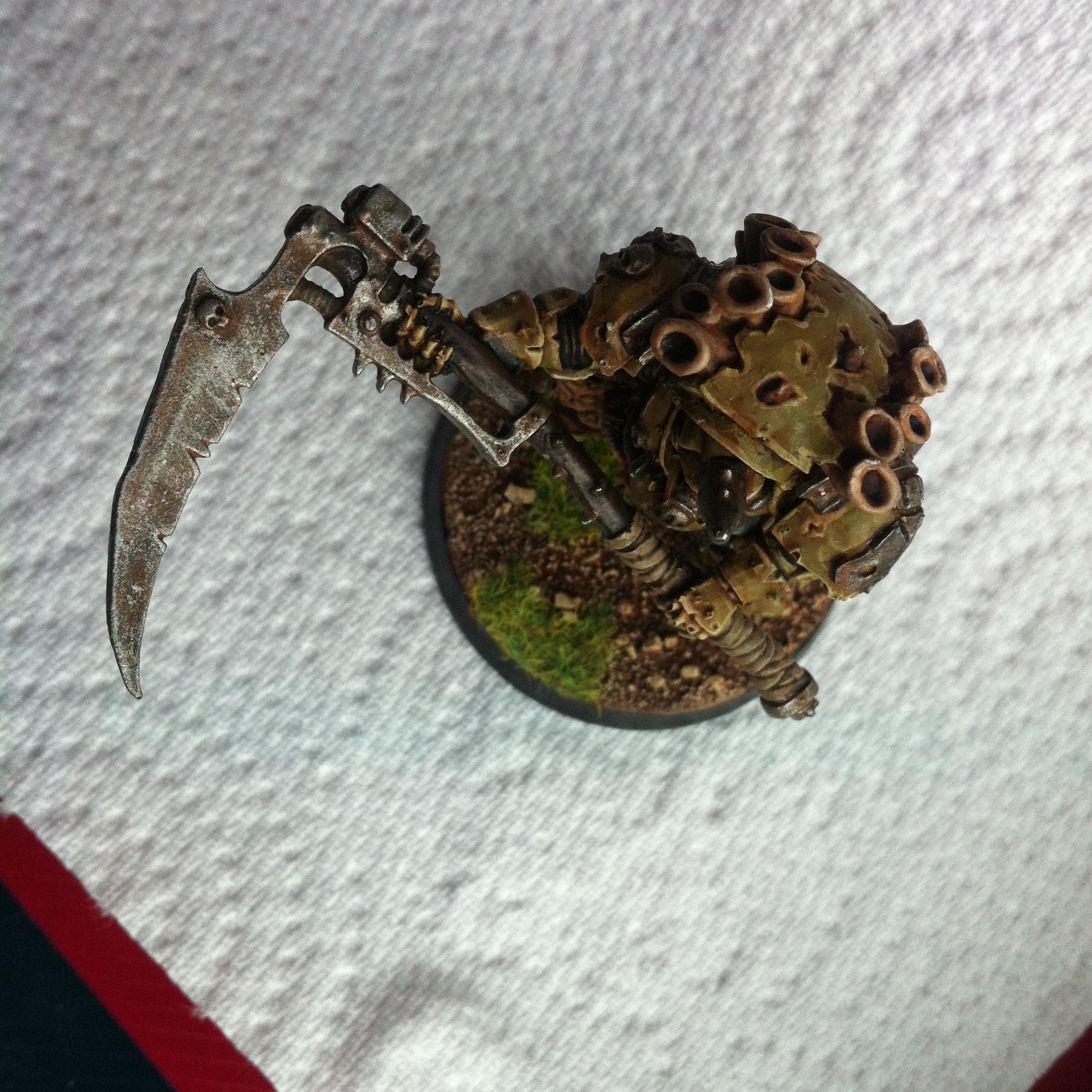 Typhus