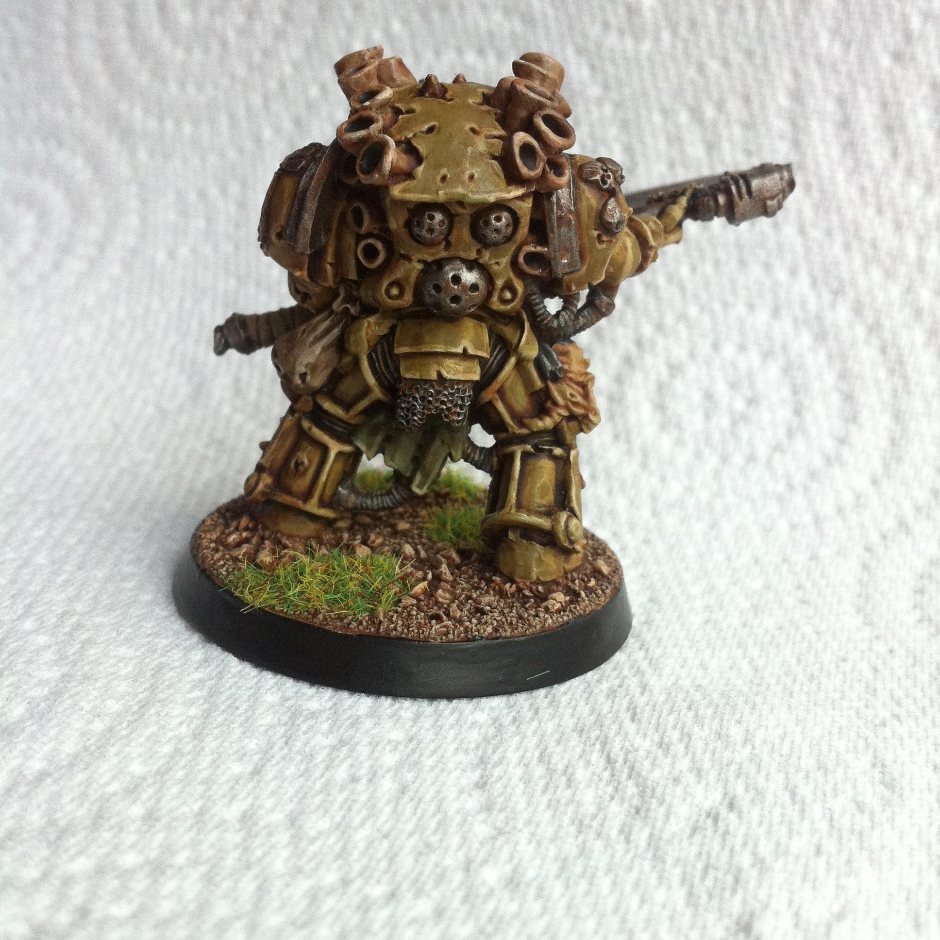 Typhus