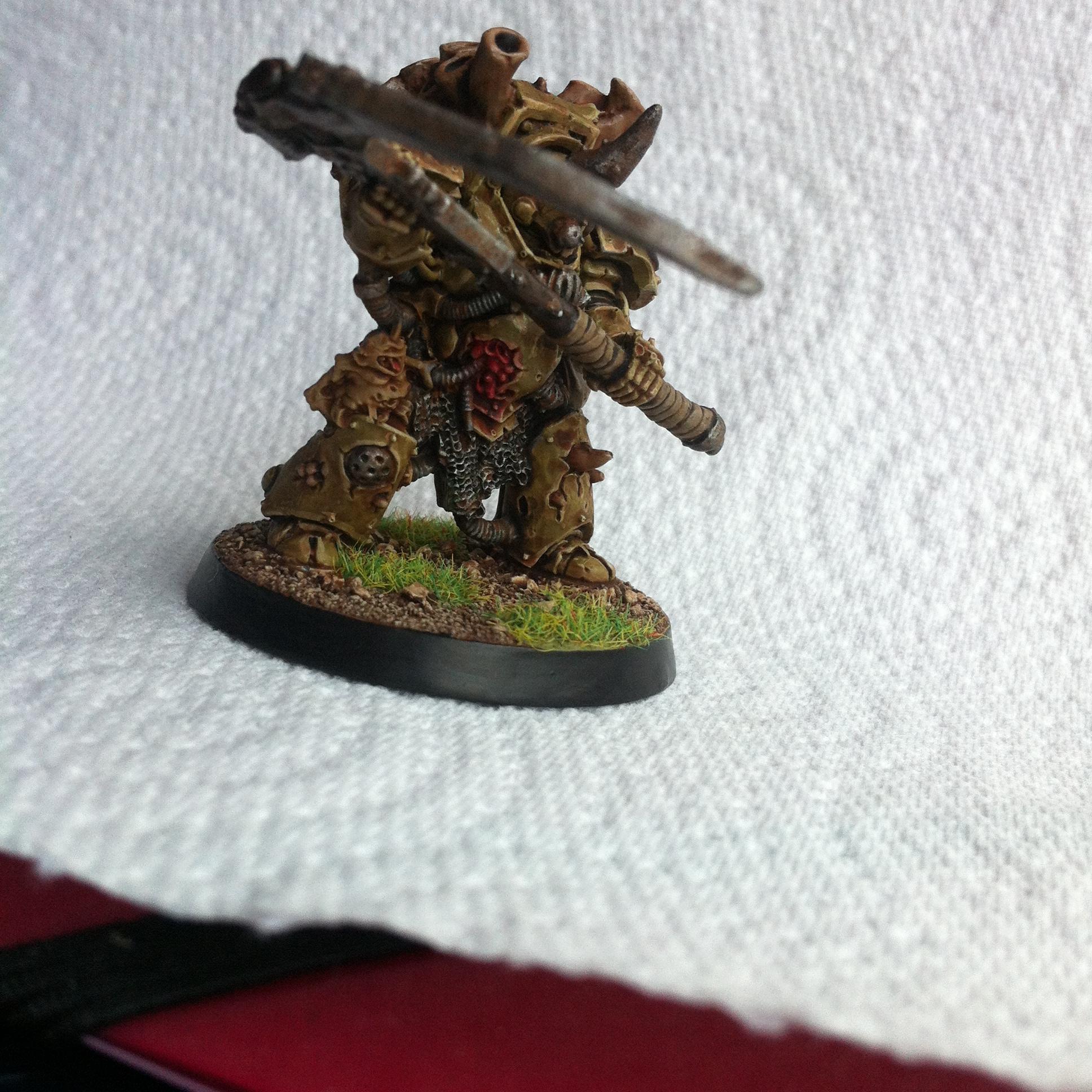 Typhus