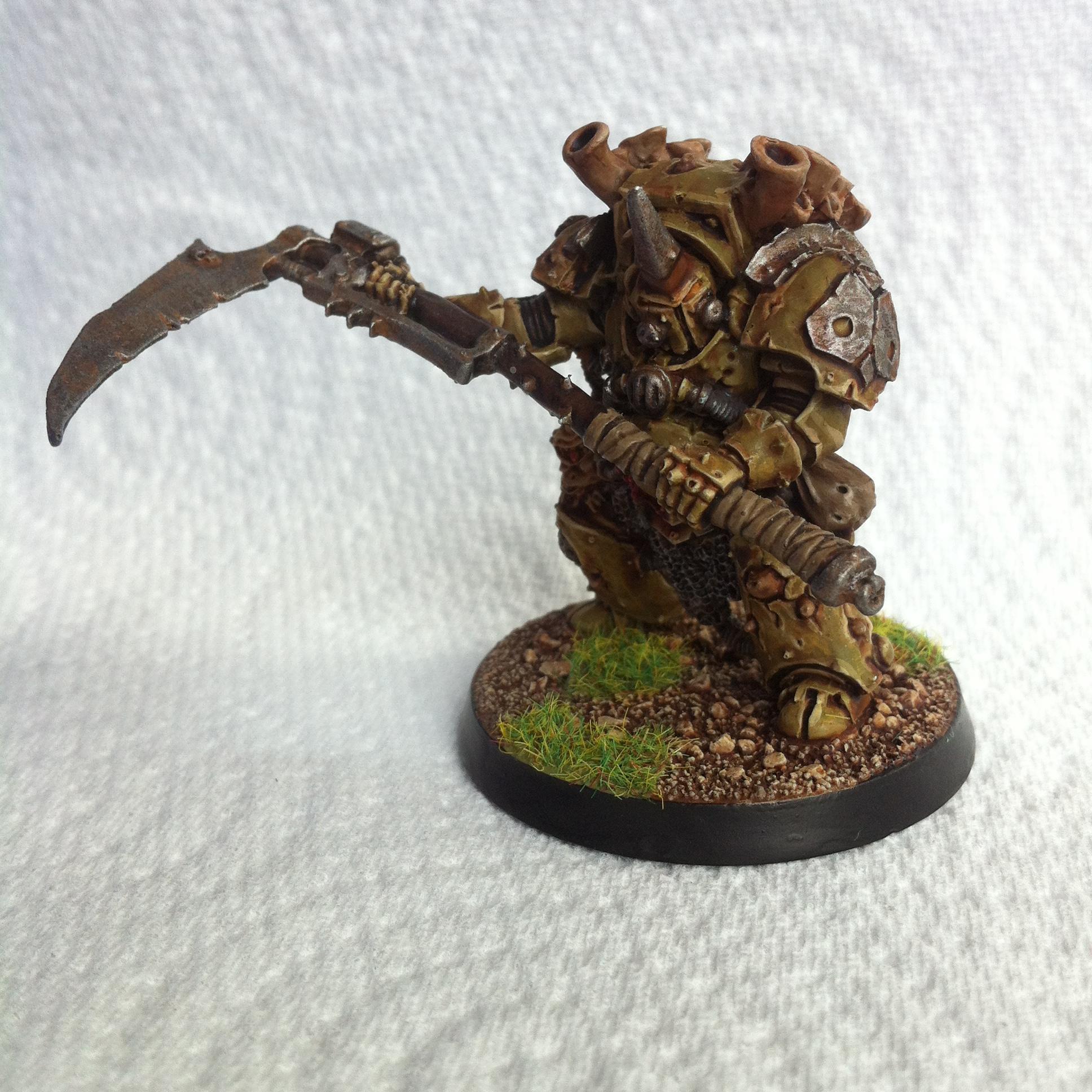 Typhus