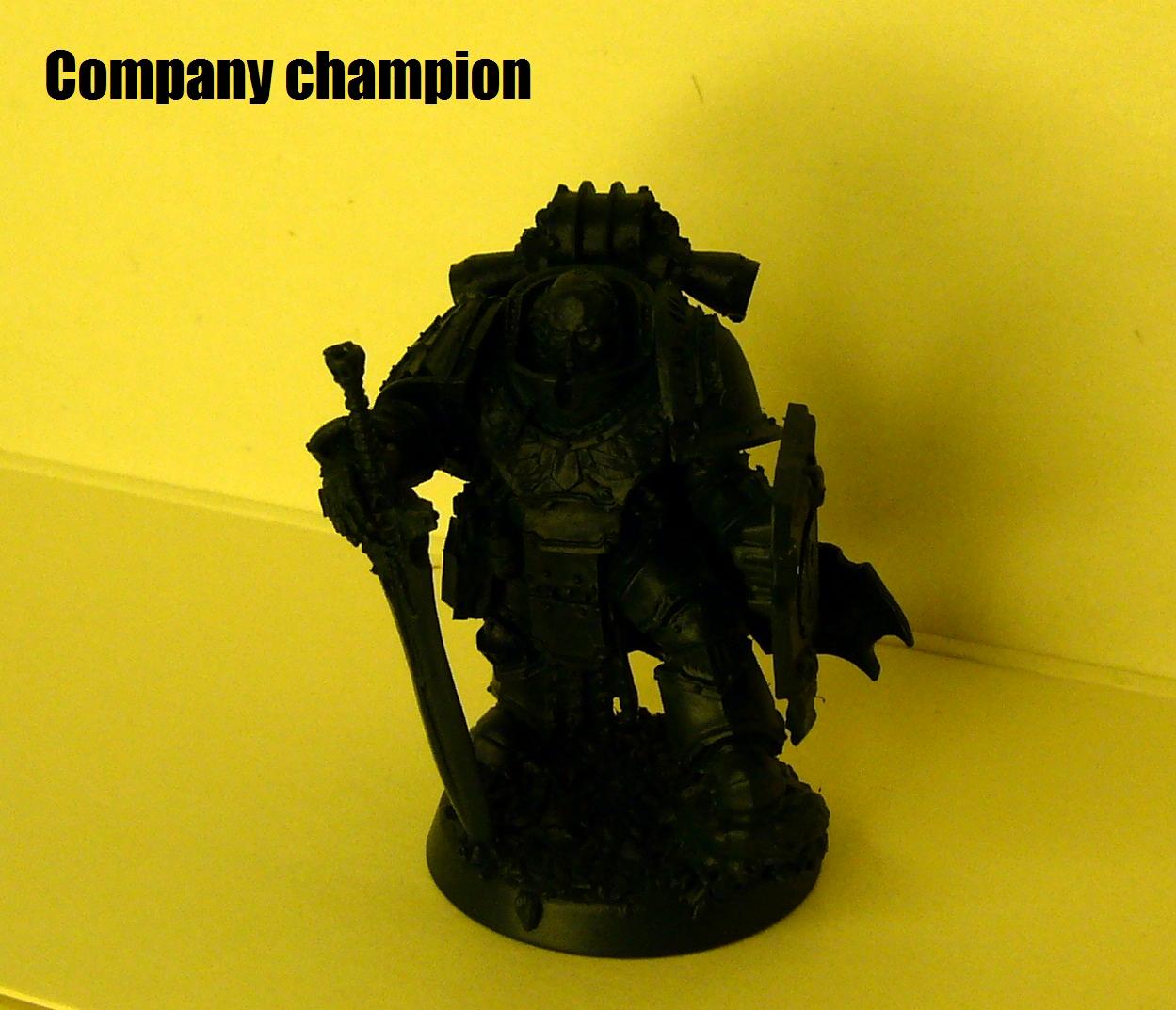 Company champion