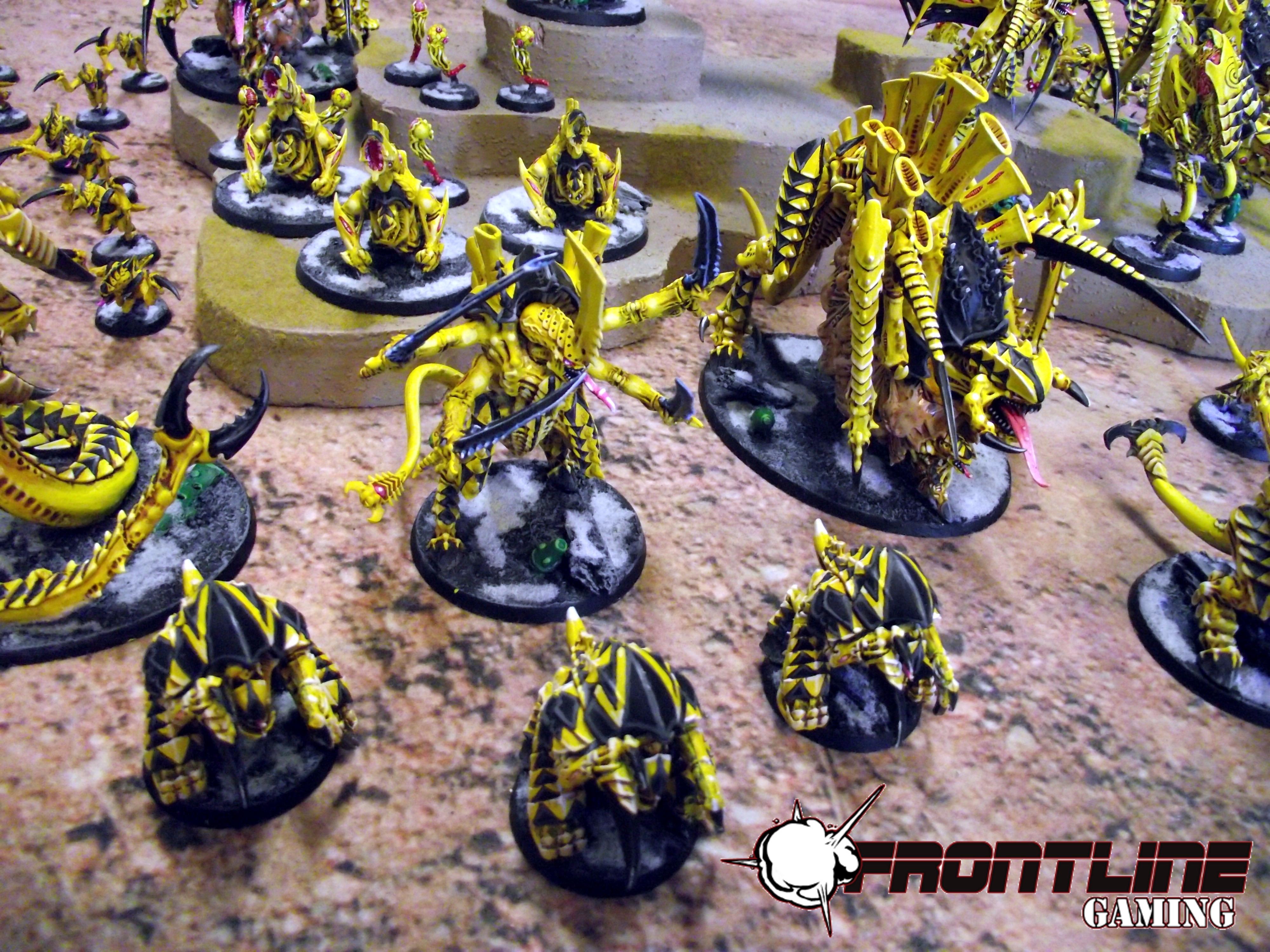 Frontline, Striking, Swarm, Tyranids