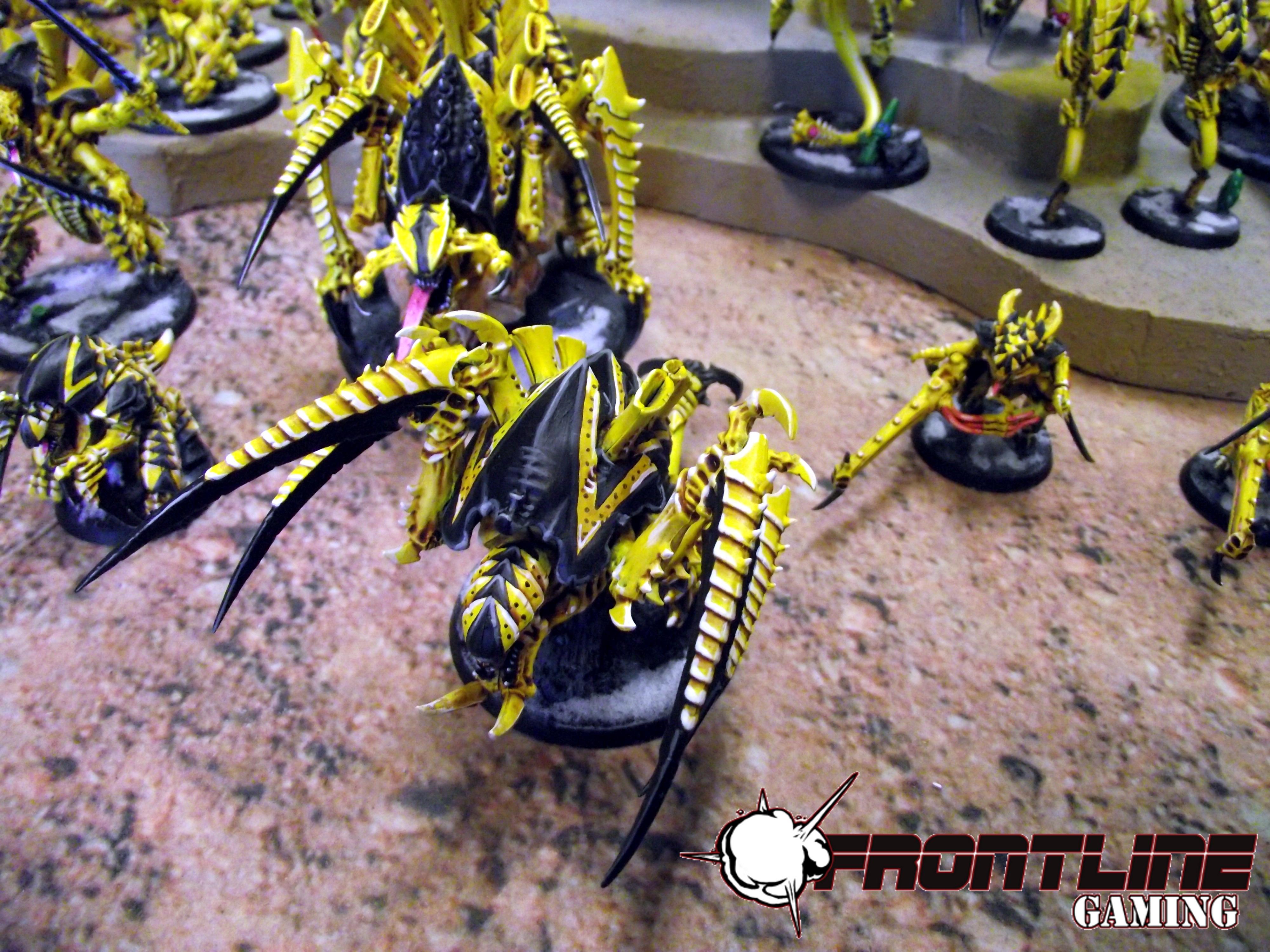 Frontline, Striking, Swarm, Tyranids