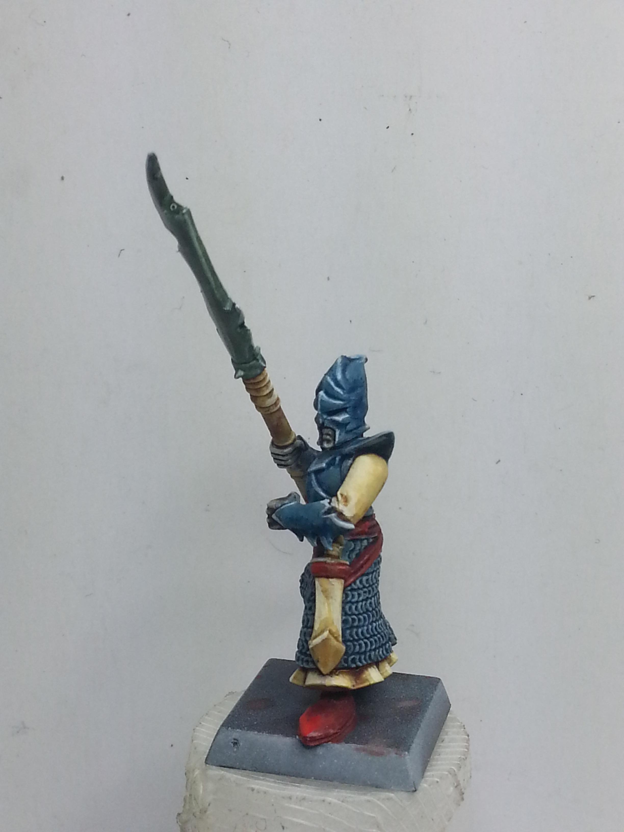 Dark Elves, Dreadspears, Warriors