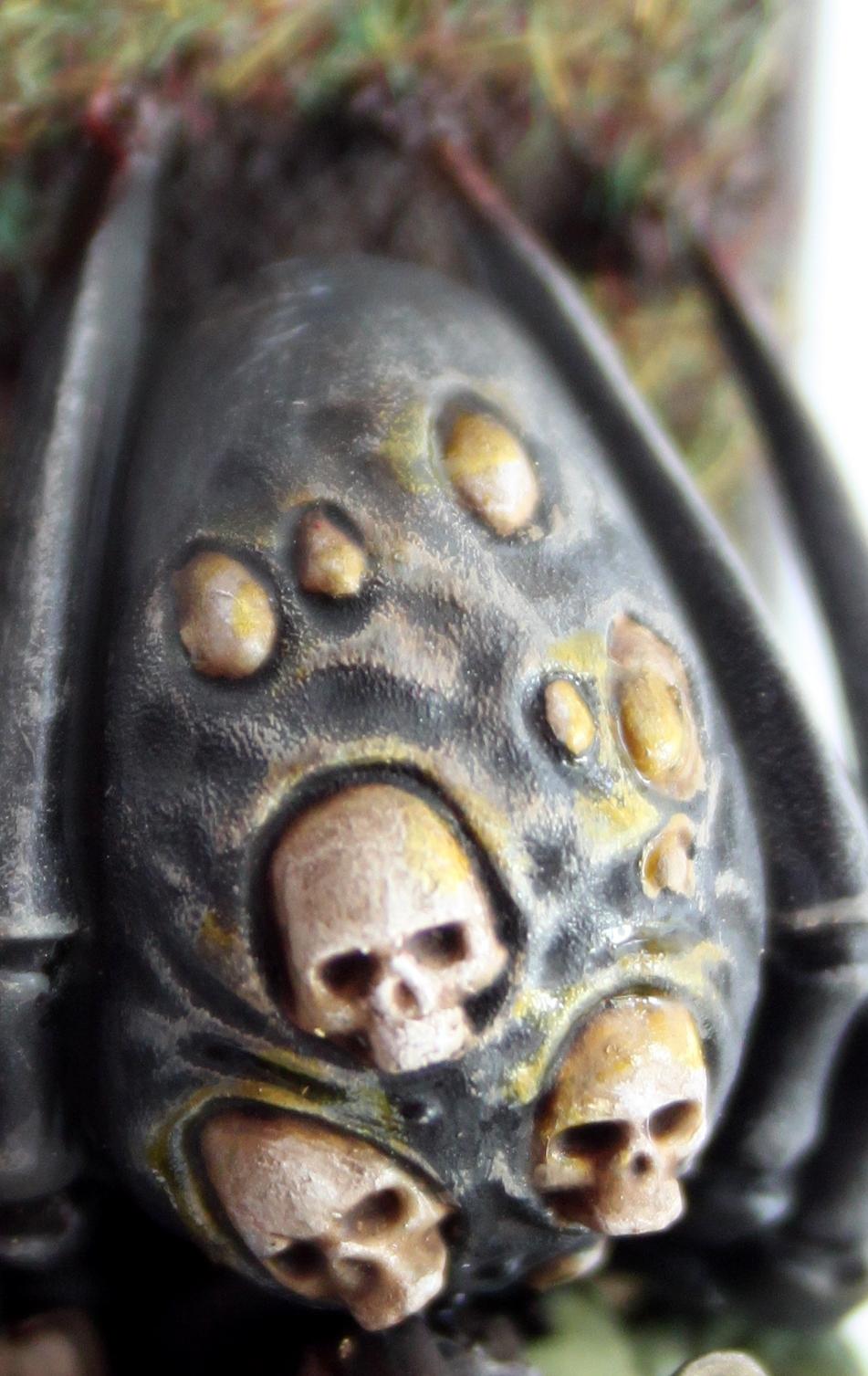 Spider Shell