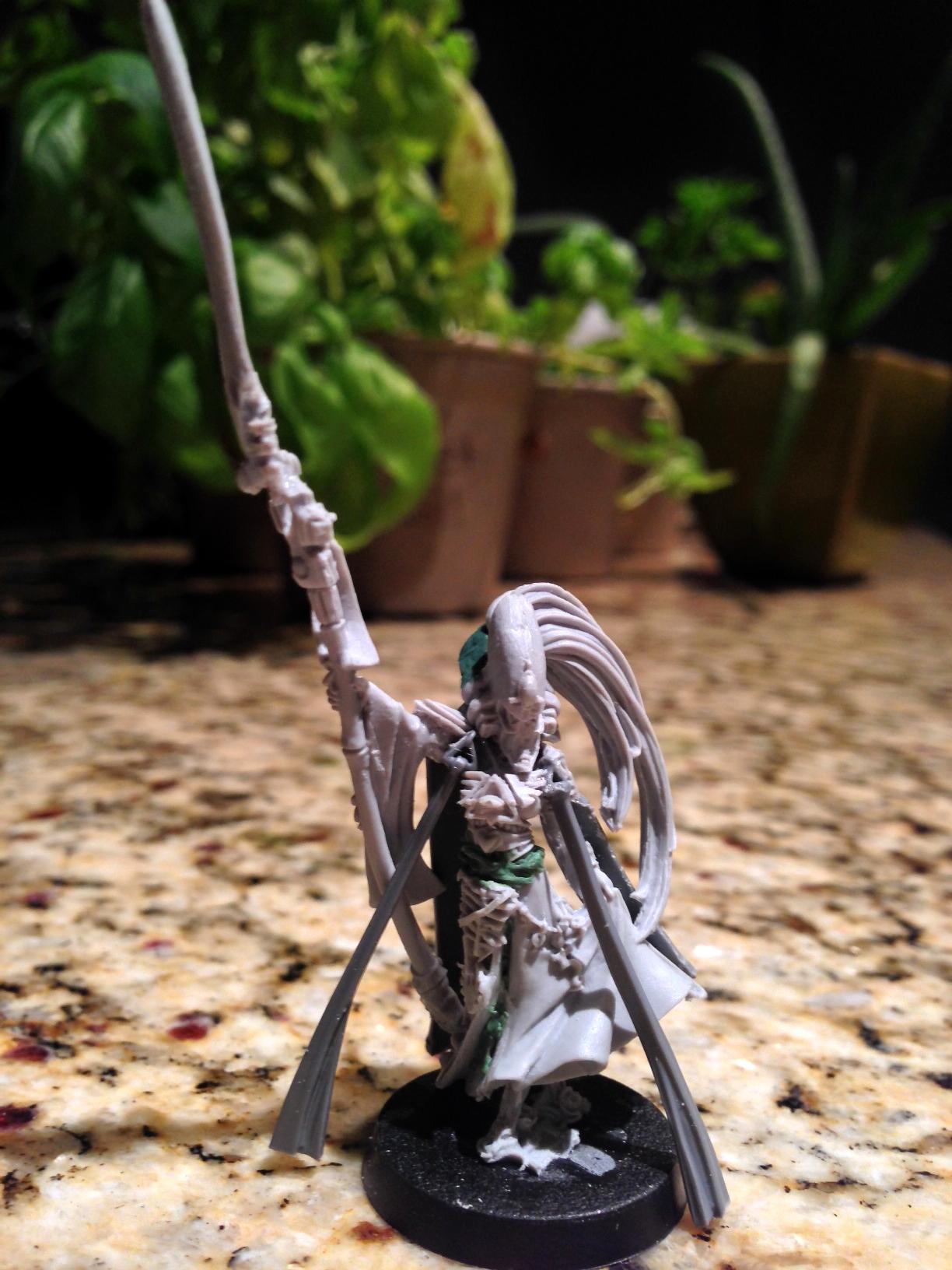 Eldar Female Farseer, Eldar Female Farseer Conversion