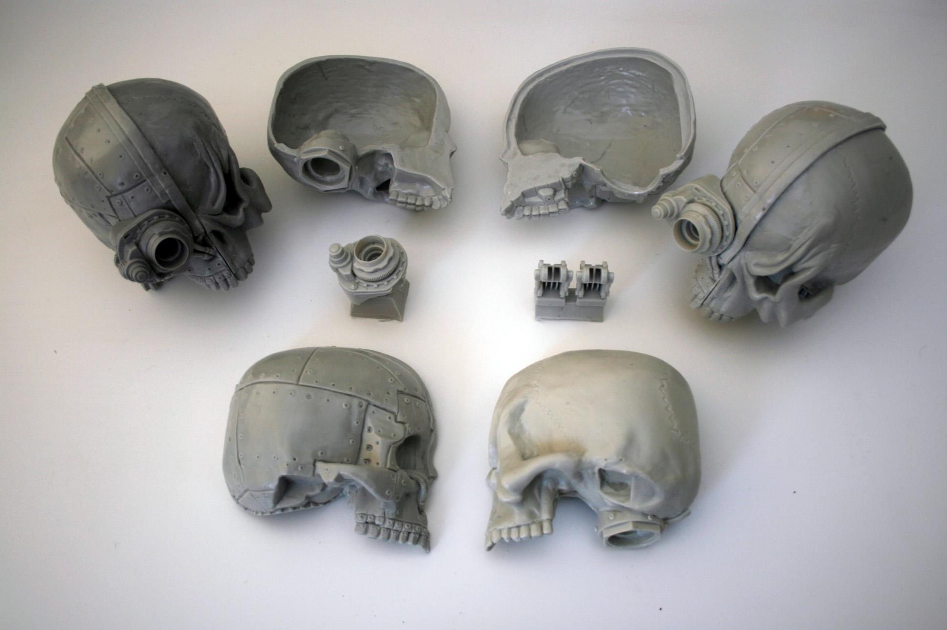 Companion skulls