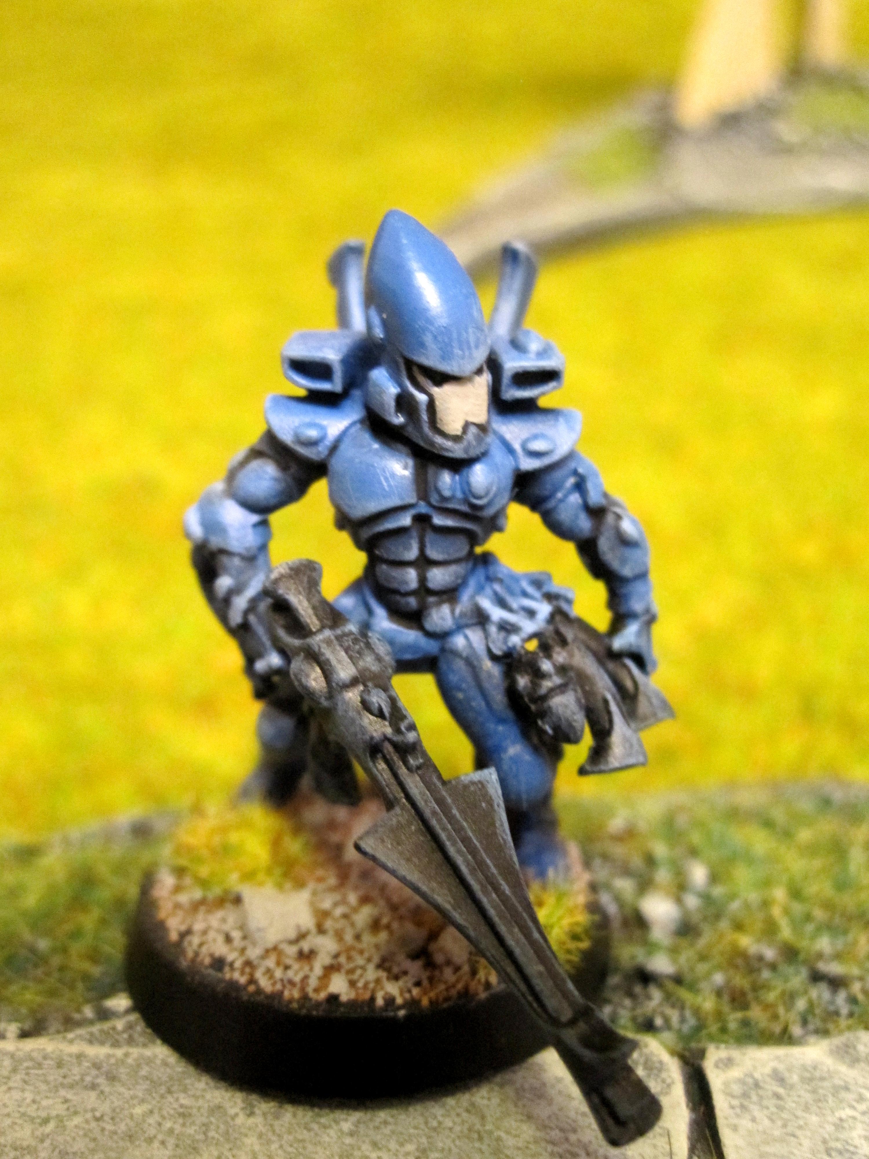 Alaitoc, Eldar, Guardians