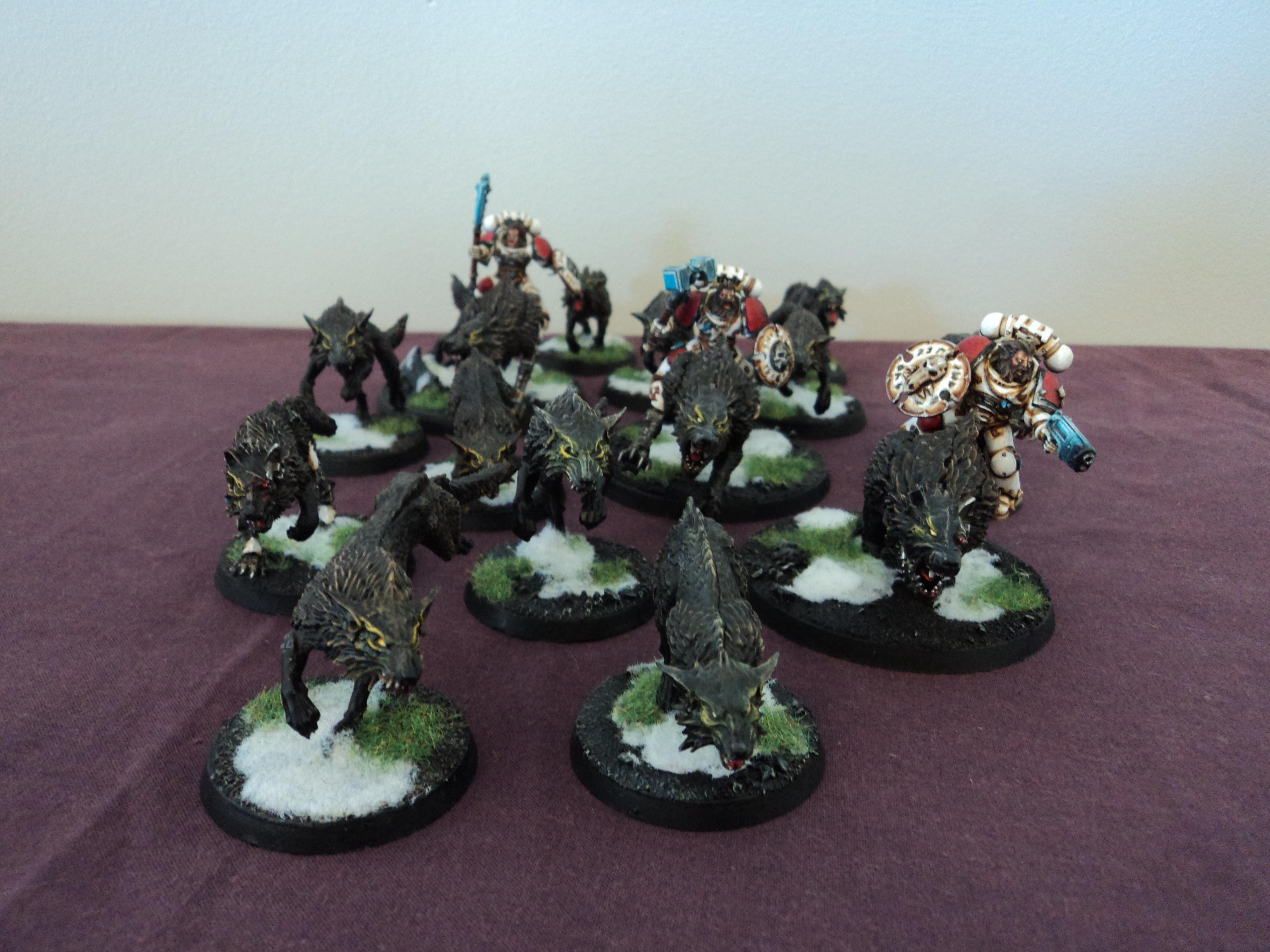 3 Thunderwolf cavalry, 10 Fenrisian Wolves and 1 cyber wolf