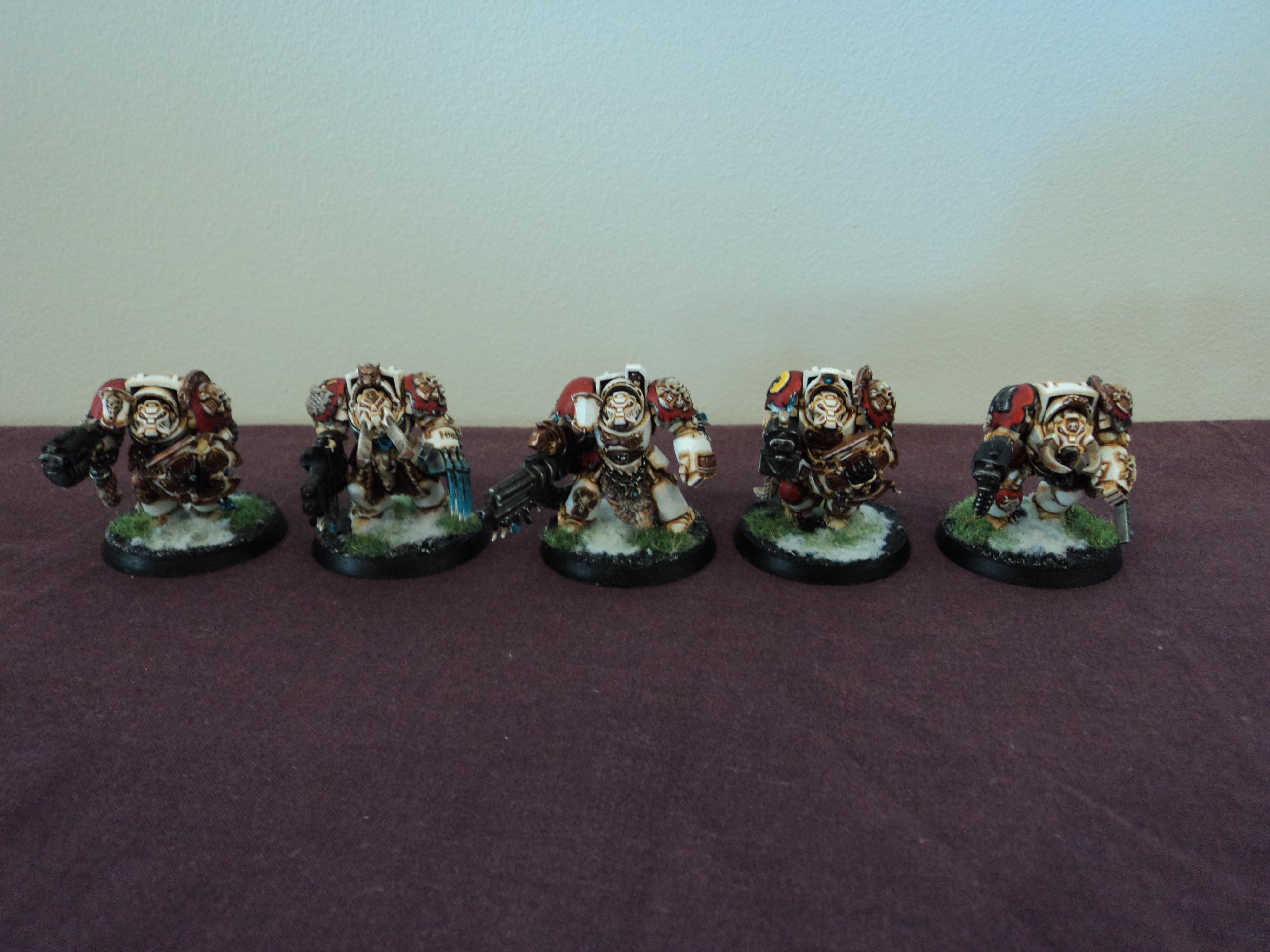 5 wolf guard