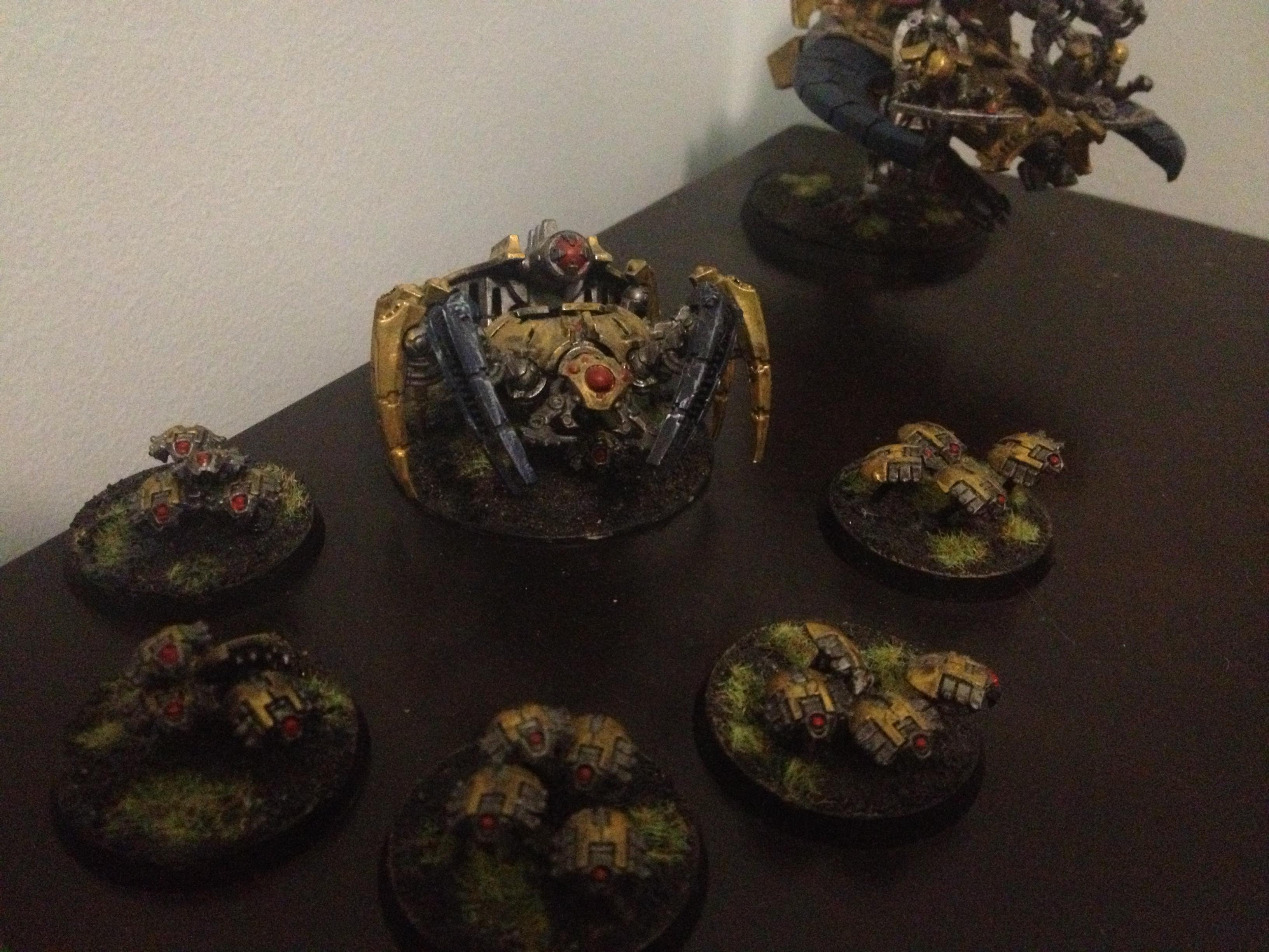 Spyder and Scarabs