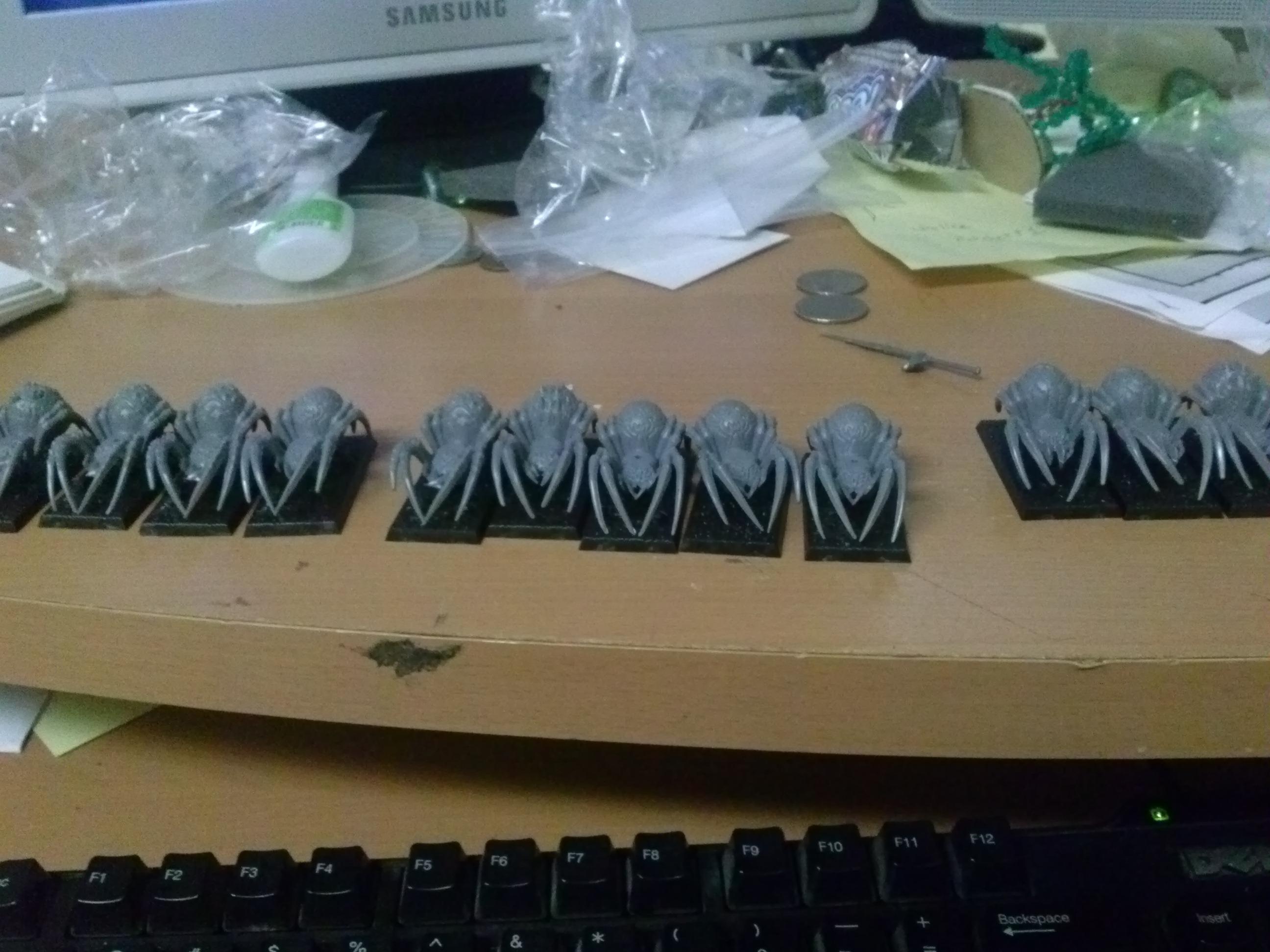 Spiders!