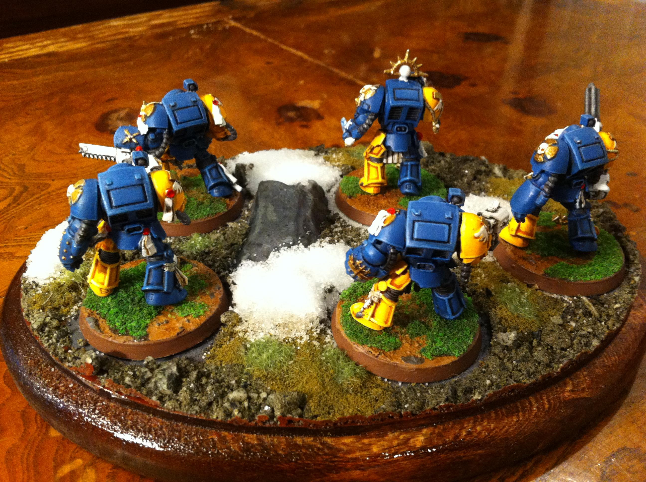 Terminator backsides
