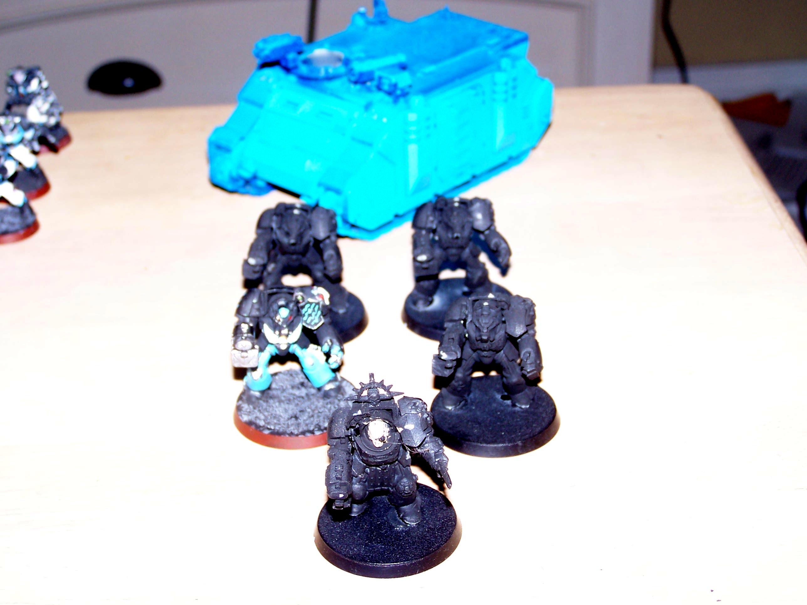 5 terminators and rhino