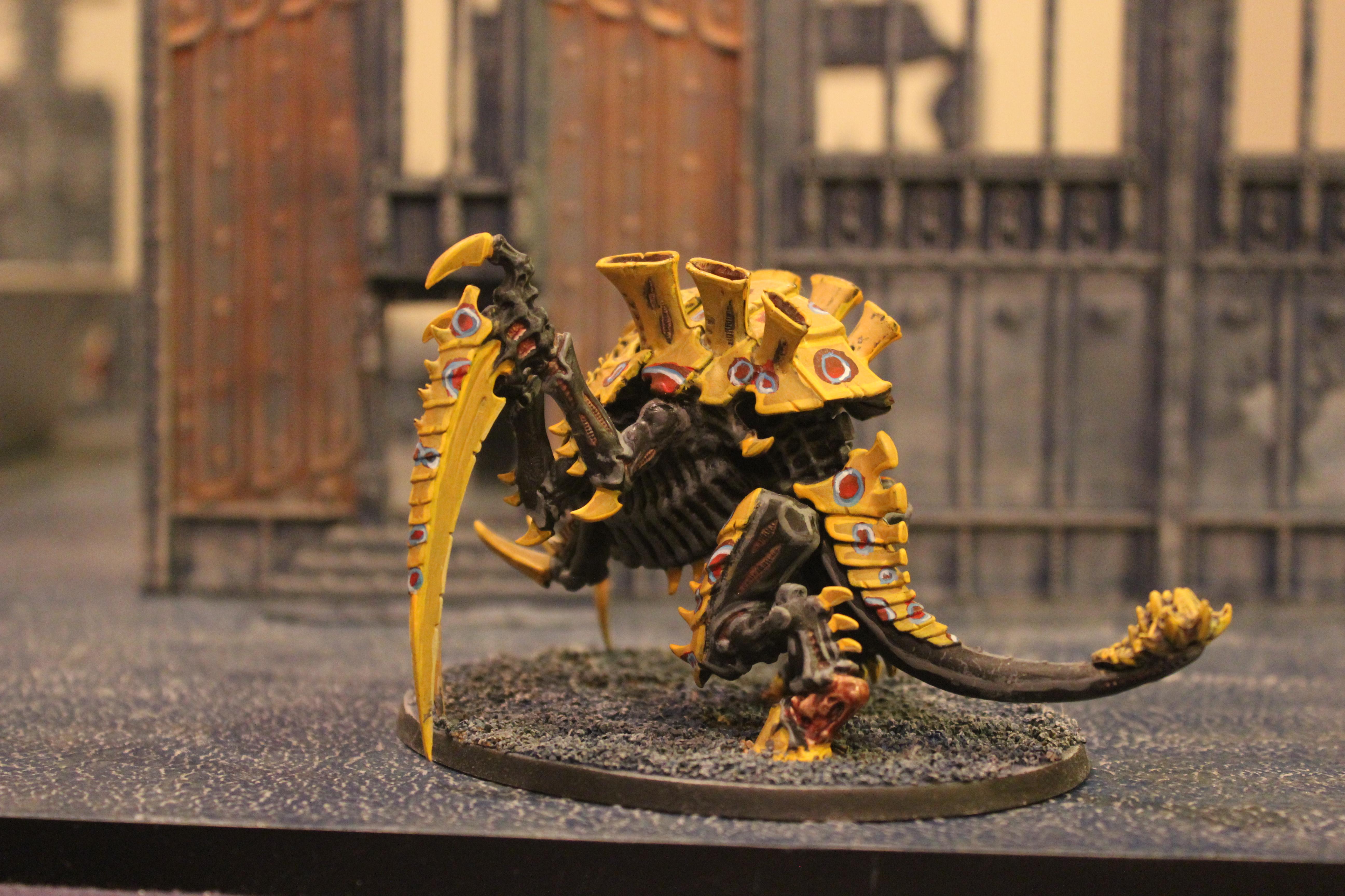 Tervigon Side