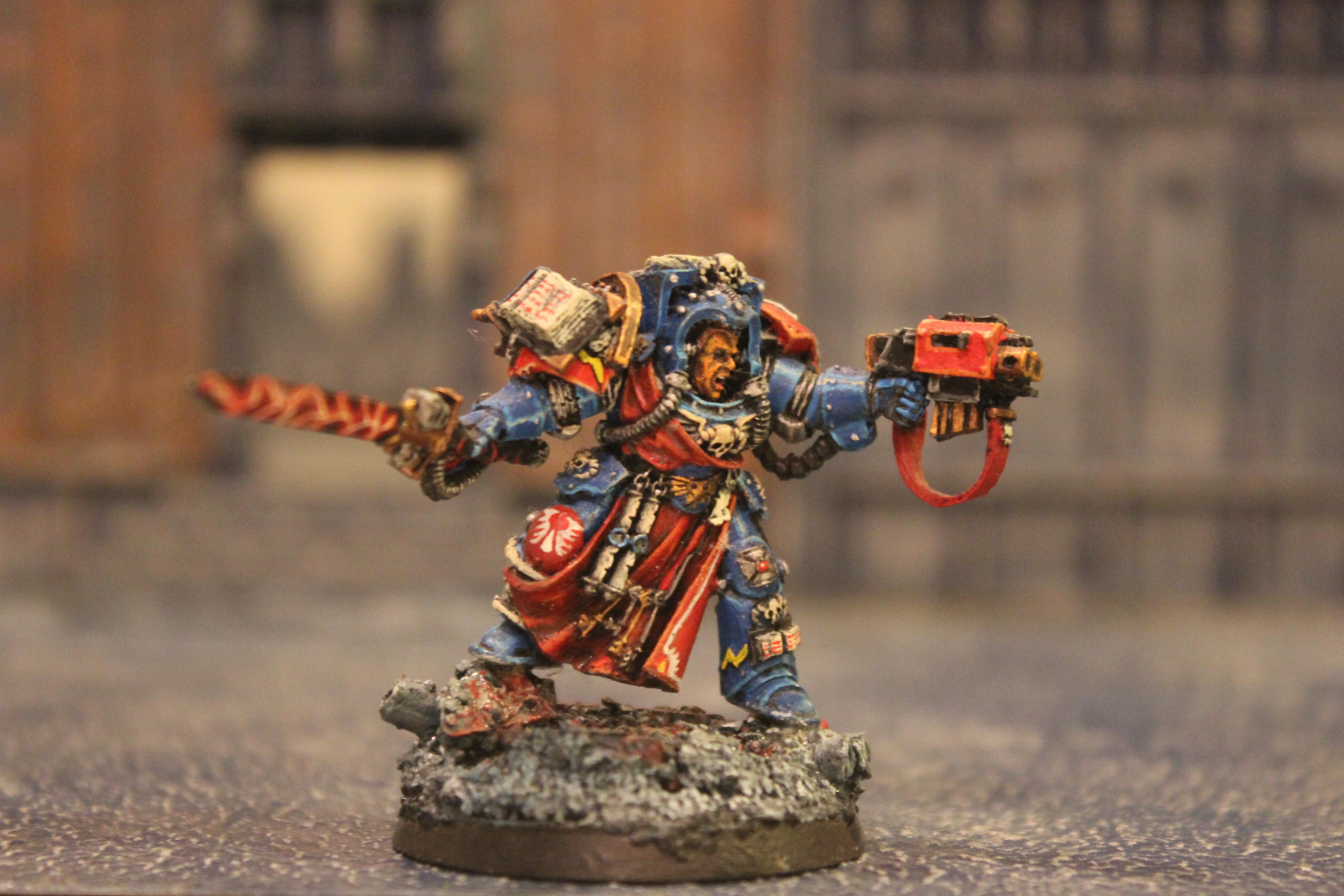 Terminator Librarian