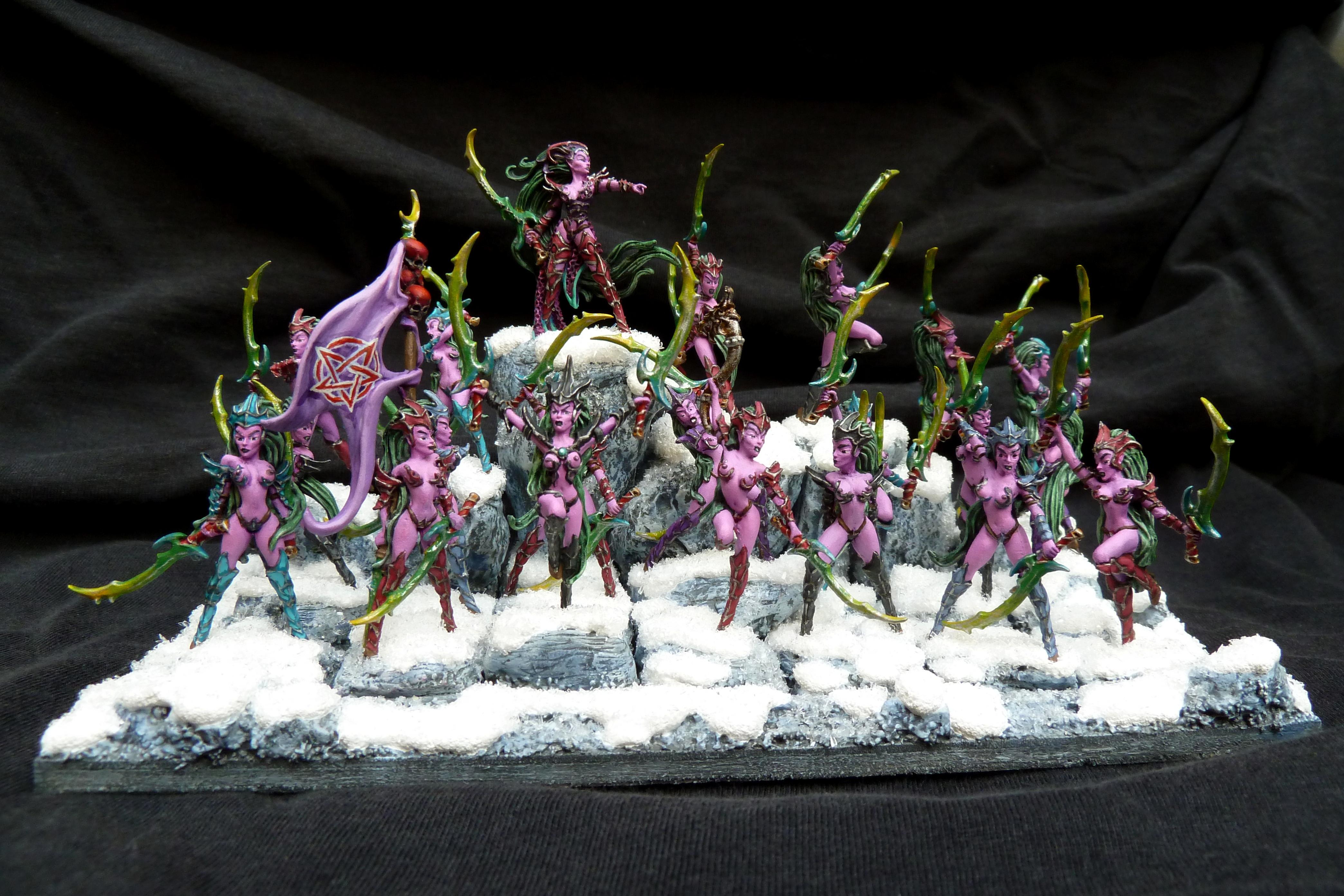 Blood Elves, Blood Vestals, Blutelfen, Dark Elf Witches, Dark Elves, Dunkelelfen, Hexenkriegerinnen, Raging Heroes, Warhammer Fantasy