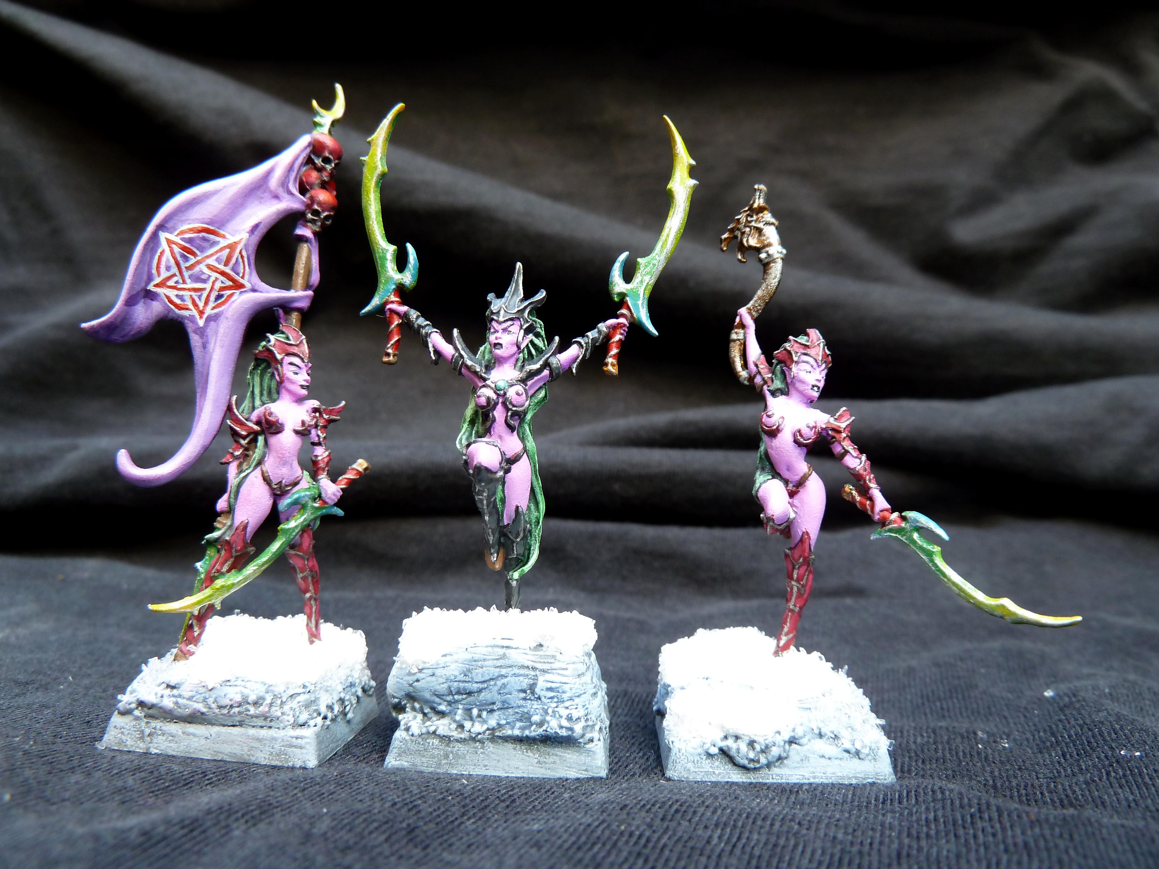 Blood Elves, Blood Vestals, Blutelfen, Dark Elf Witches, Dark Elves, Dunkelelfen, Hexenkriegerinnen, Raging Heroes, Warhammer Fantasy