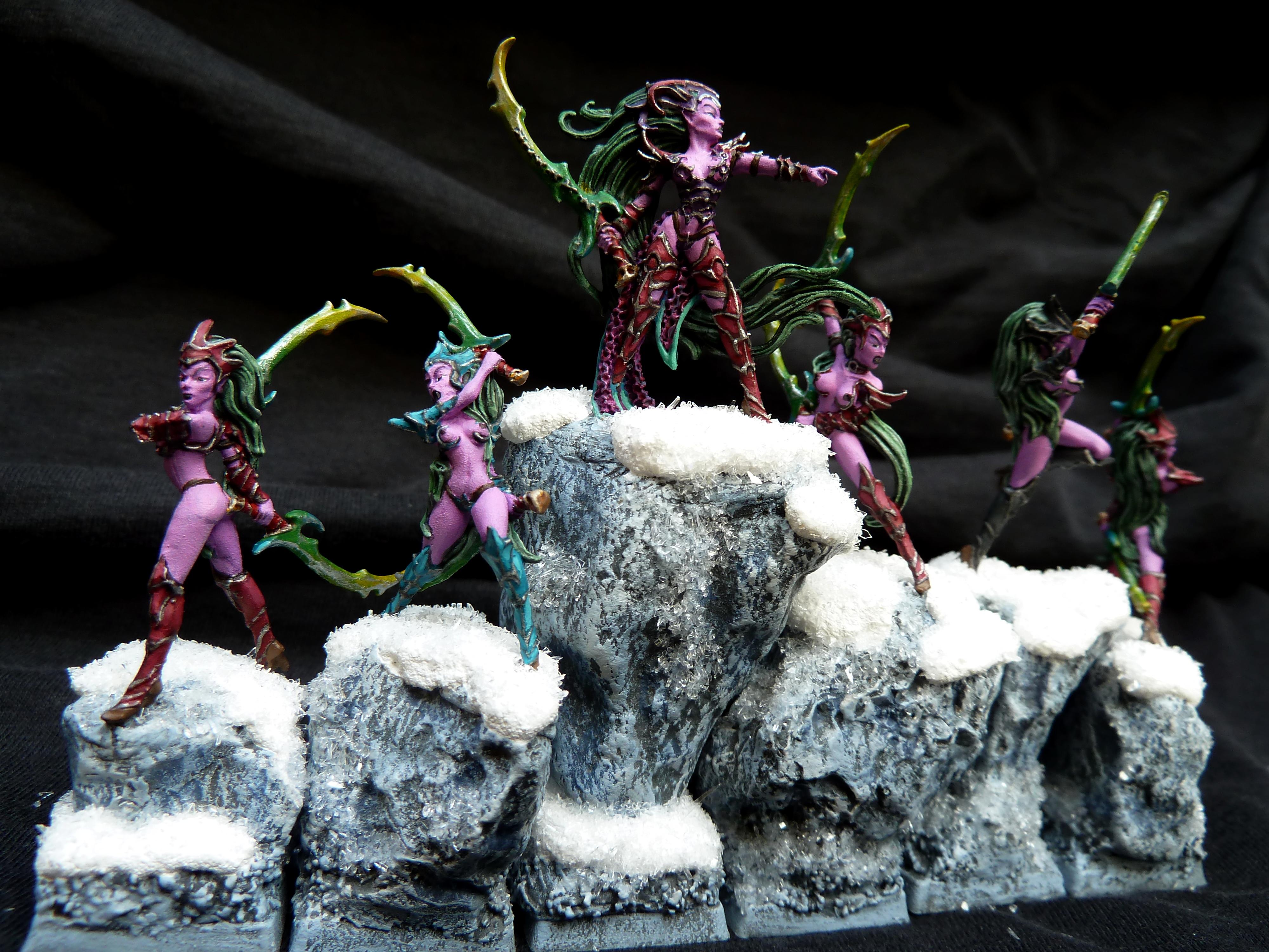 Blood Elves, Blood Vestals, Blutelfen, Dark Elf Witches, Dark Elves, Dunkelelfen, Hexenkriegerinnen, Raging Heroes, Warhammer Fantasy