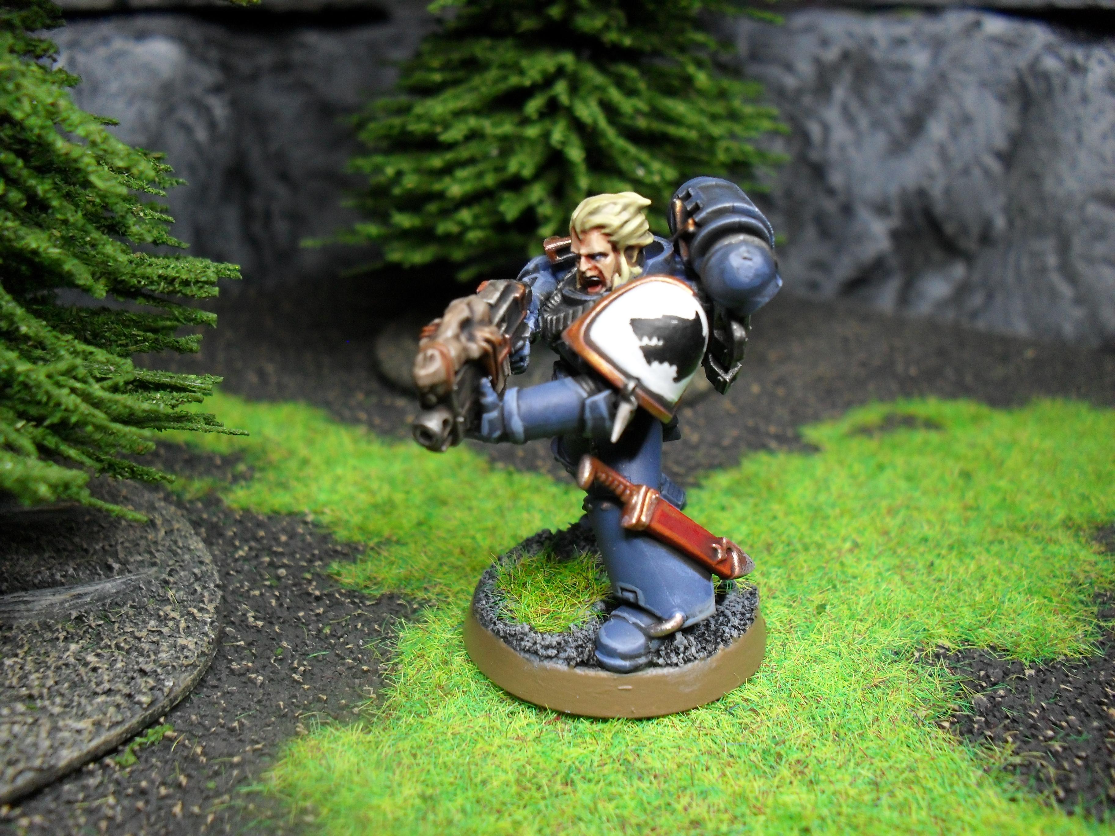 Grey Hunter, Space Marines, Space Wolves