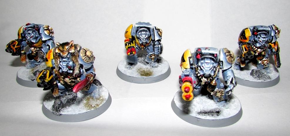 Firstborn, Space Marines, Space Wolves, Sw, Terminator Armor, Wolf Guard