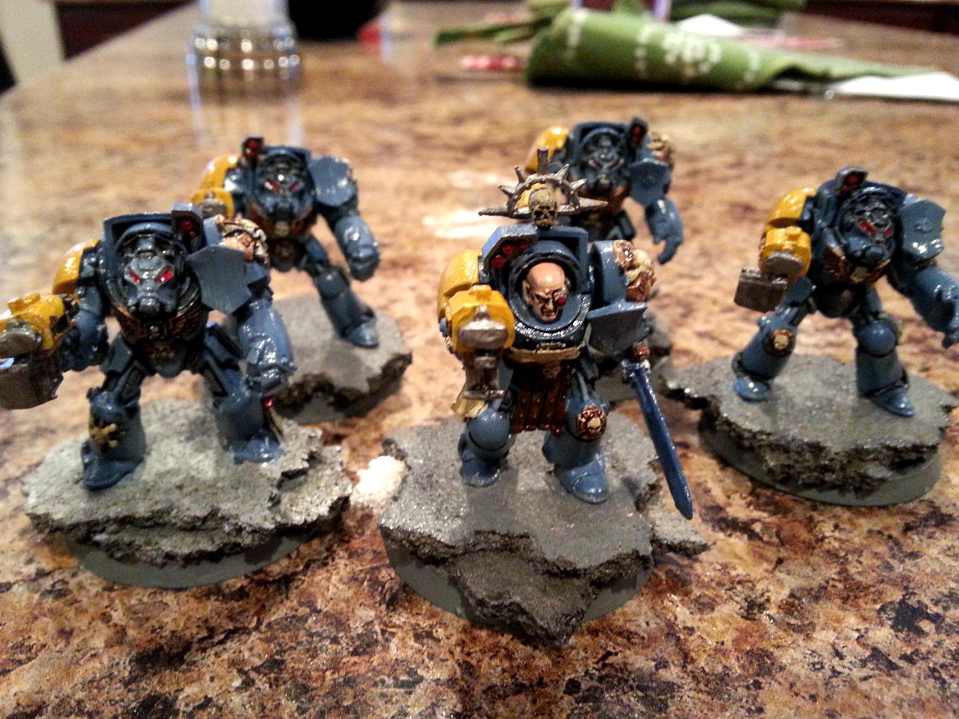 Wolf Guard Termies
