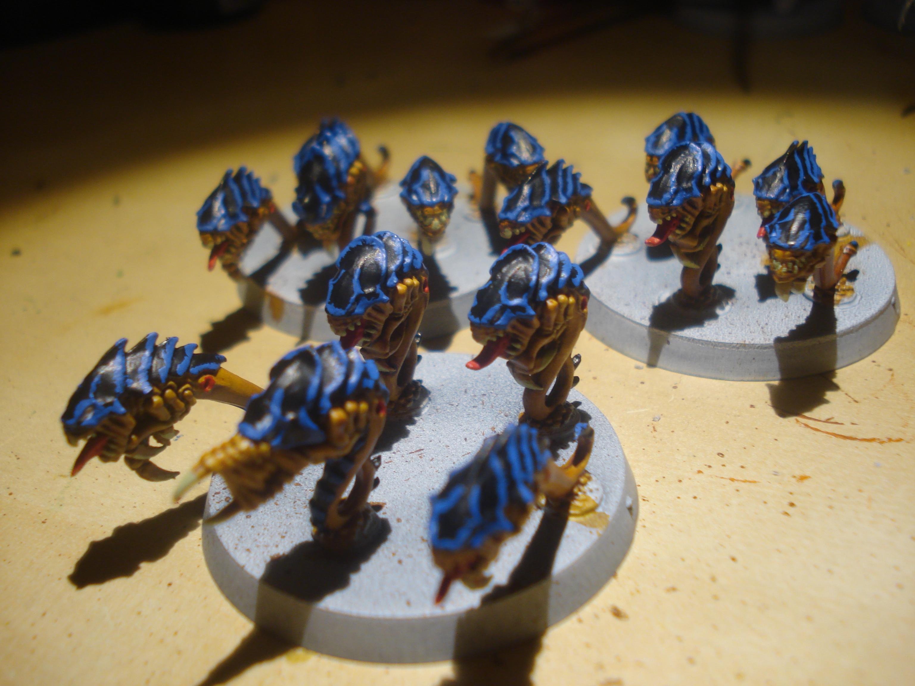 Tyranid Rippers, Tyranids