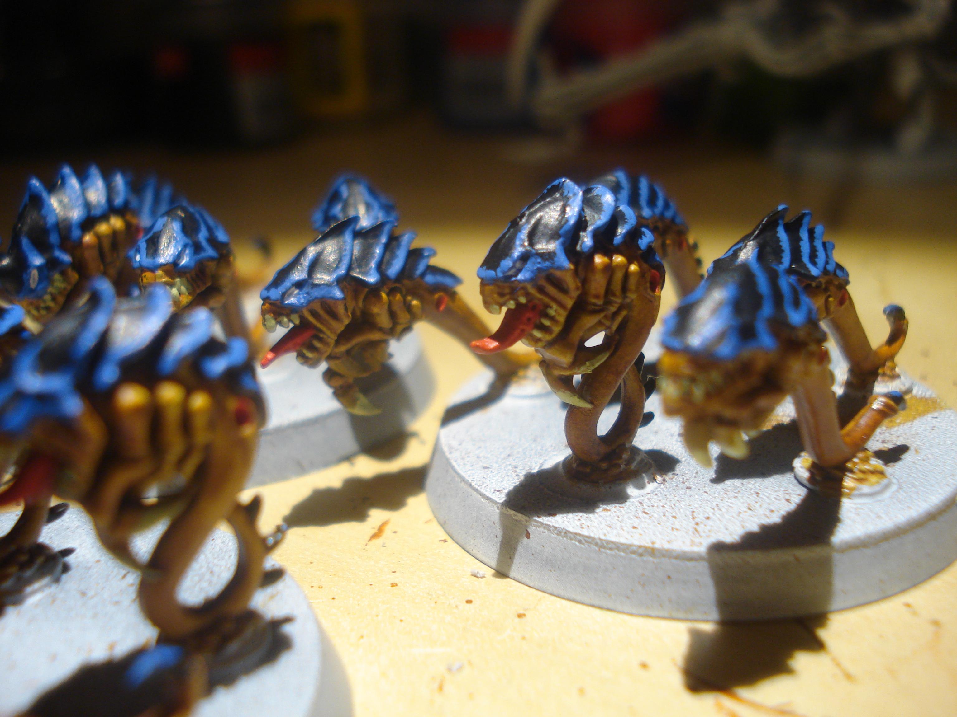 Tyranid Rippers, Tyranids