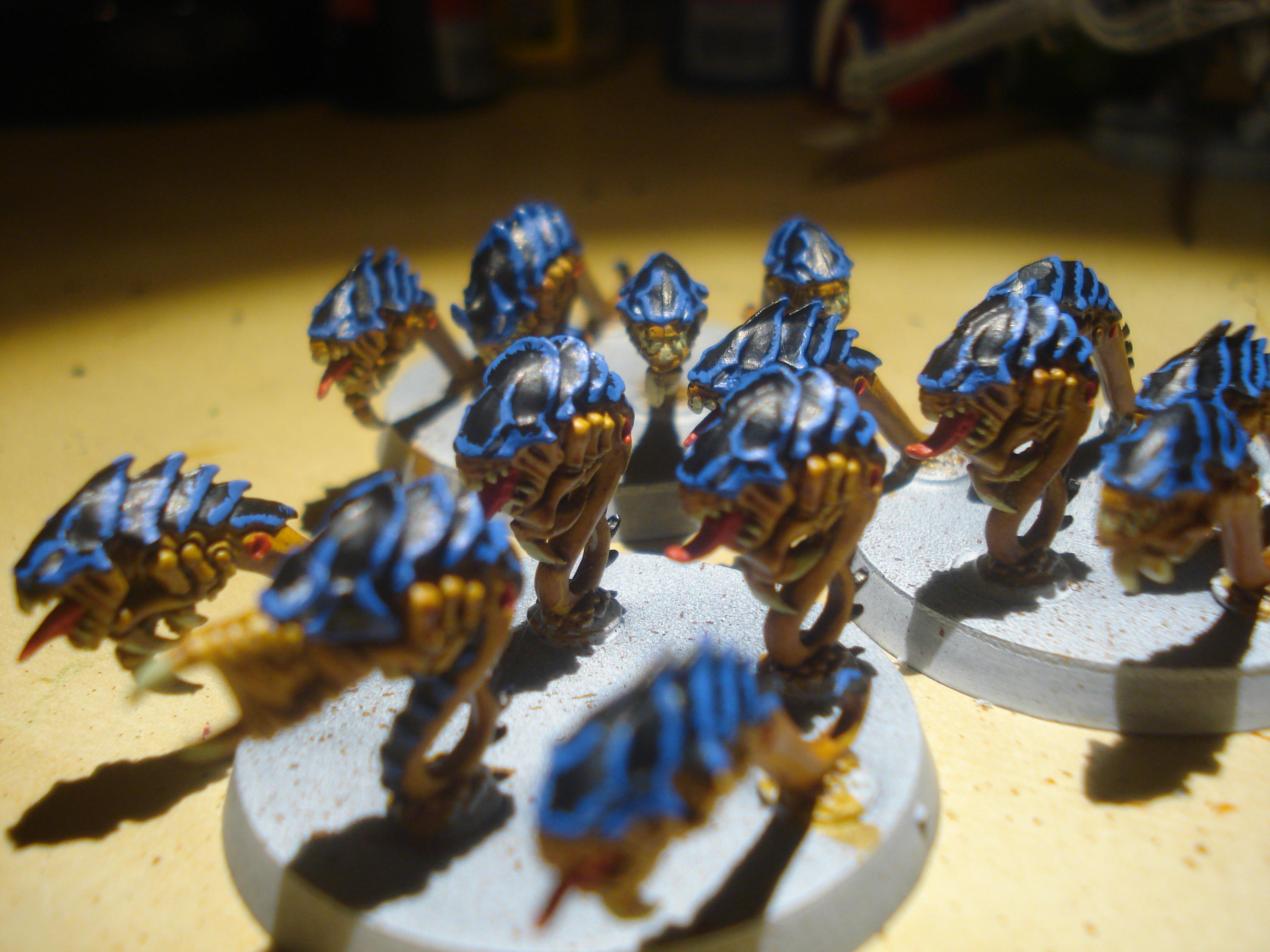 Tyranid Rippers, Tyranids