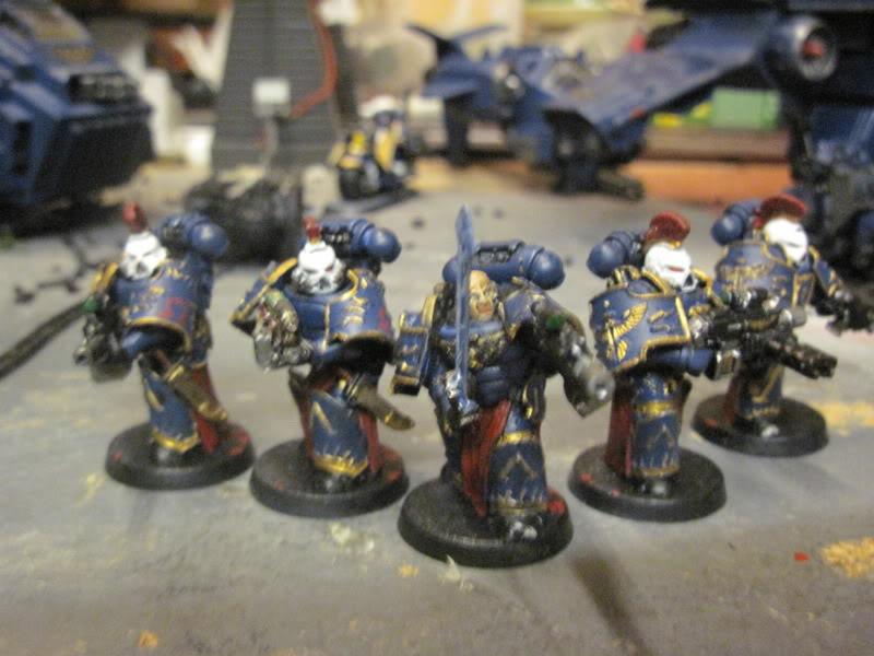 Custom Sternguard