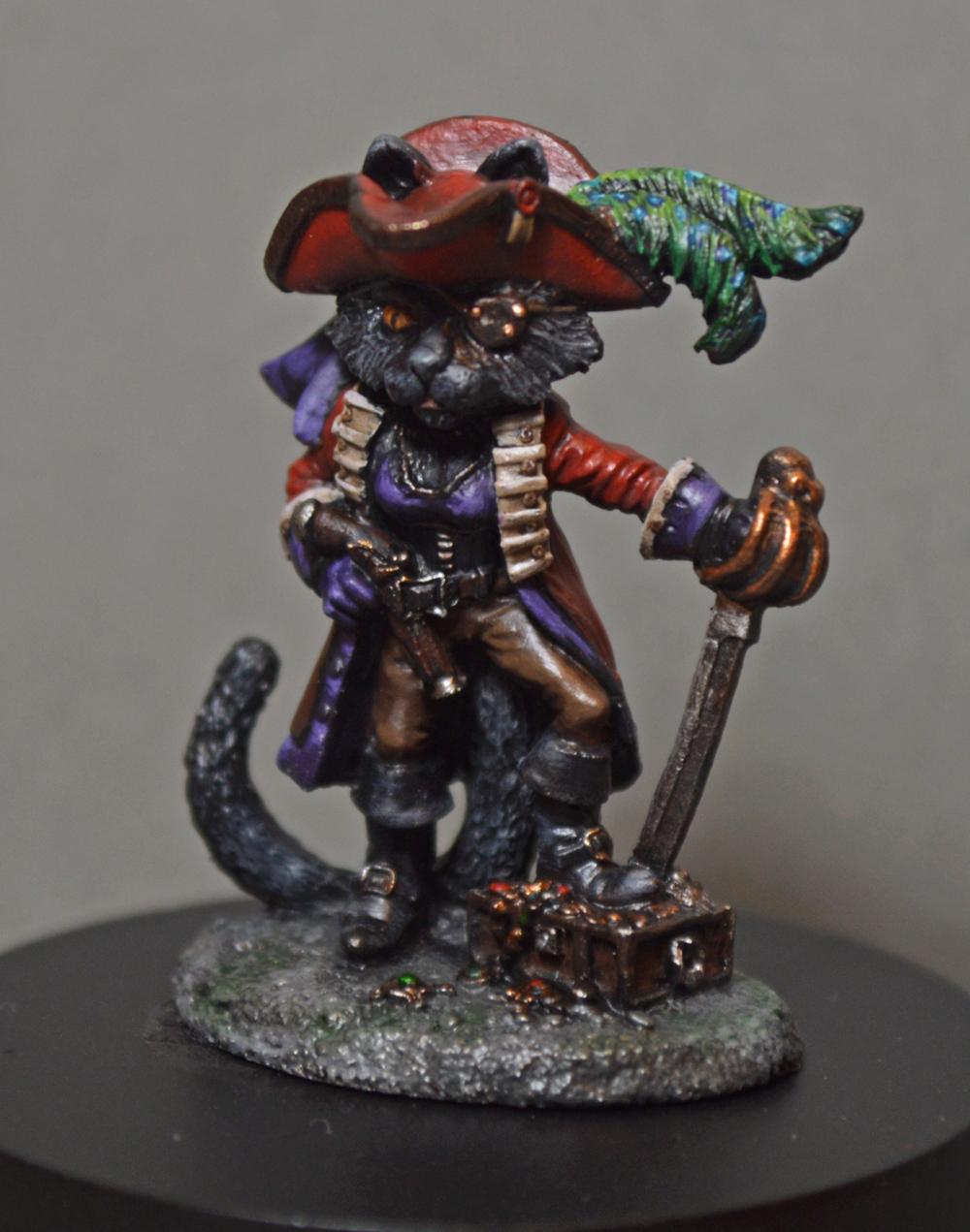 Cat, Display, Pirate
