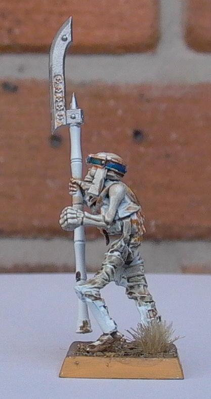 Tomb Guard, Tomb Kings