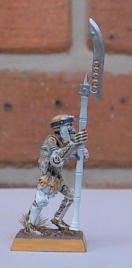 Tomb Guard, Tomb Kings