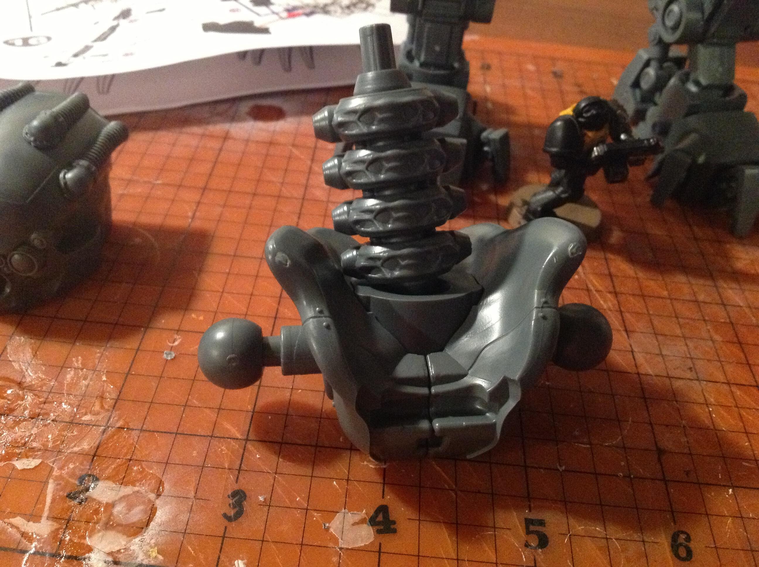 Spine