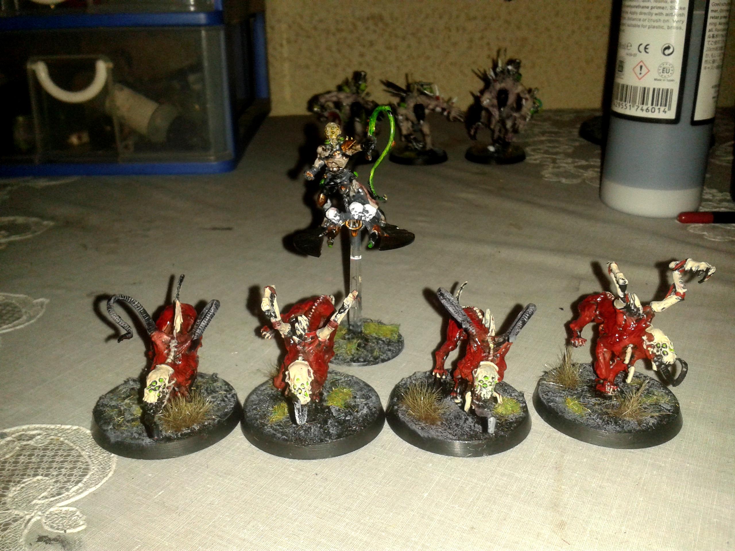 Beast Master, Dark Eldar, Khymerae