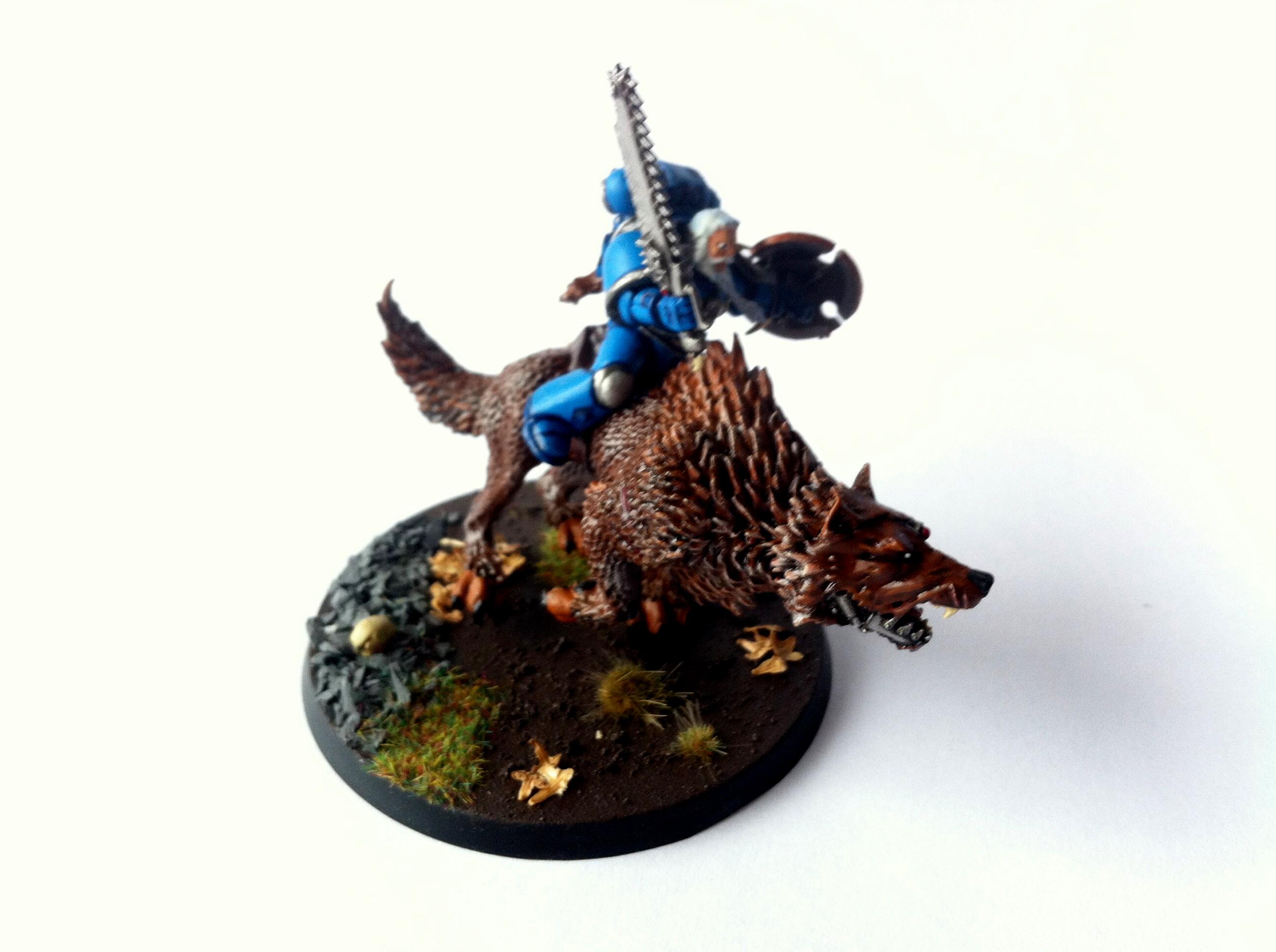 Blue, Cavalry, Painted, Space, Thunderwolf, Wolves
