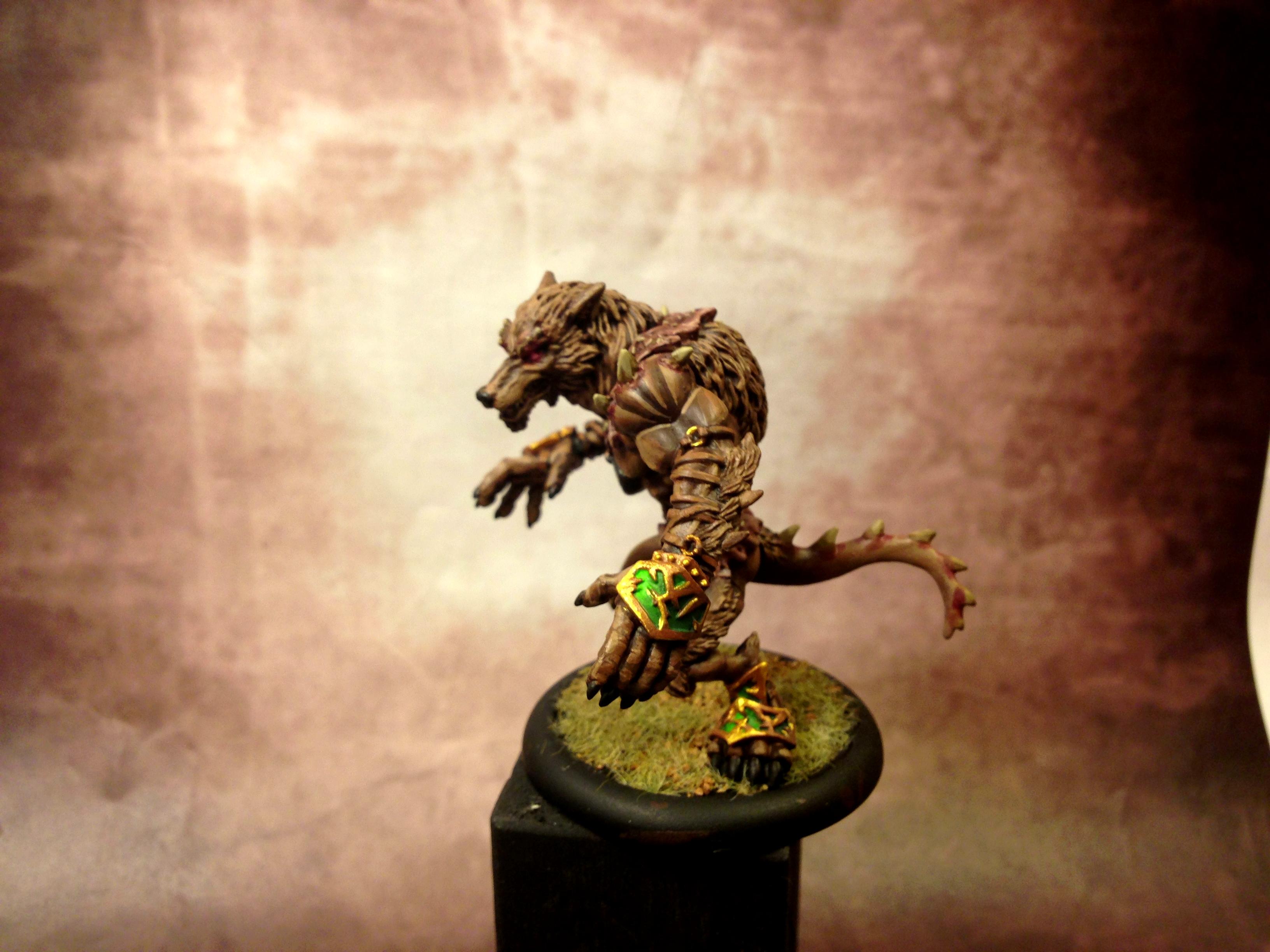 Aosol, Circle, Circle Of Orboros, Feral, Orboros