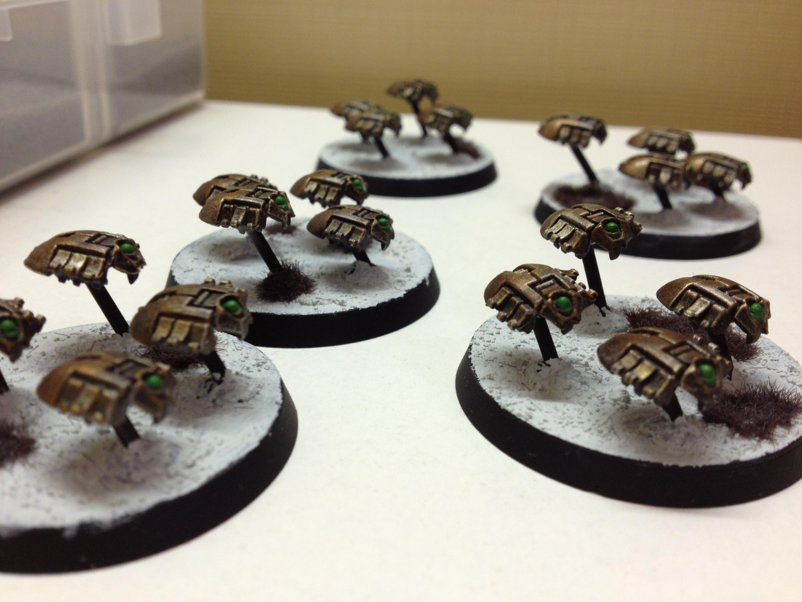 Scarabs
