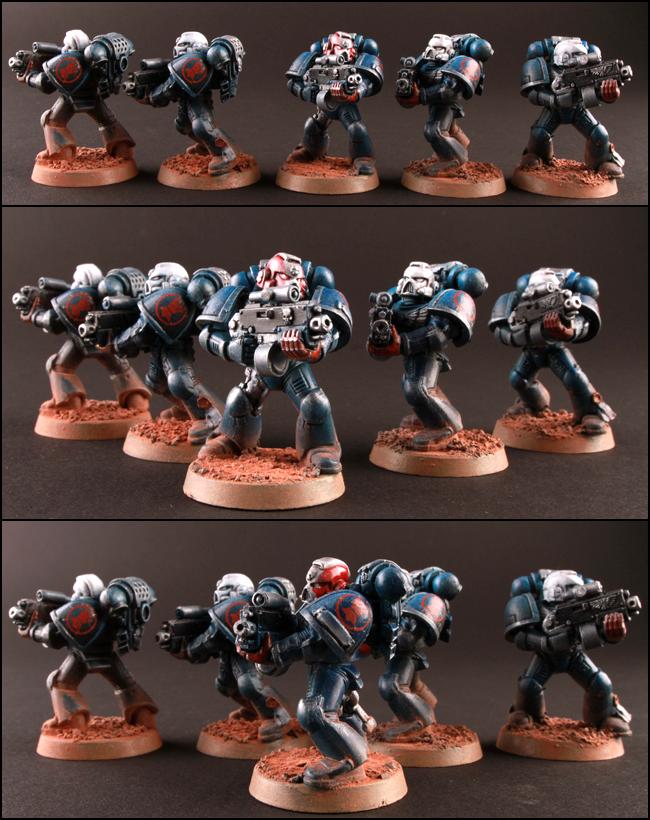 Crimson Fist, Crimson fist stern guard