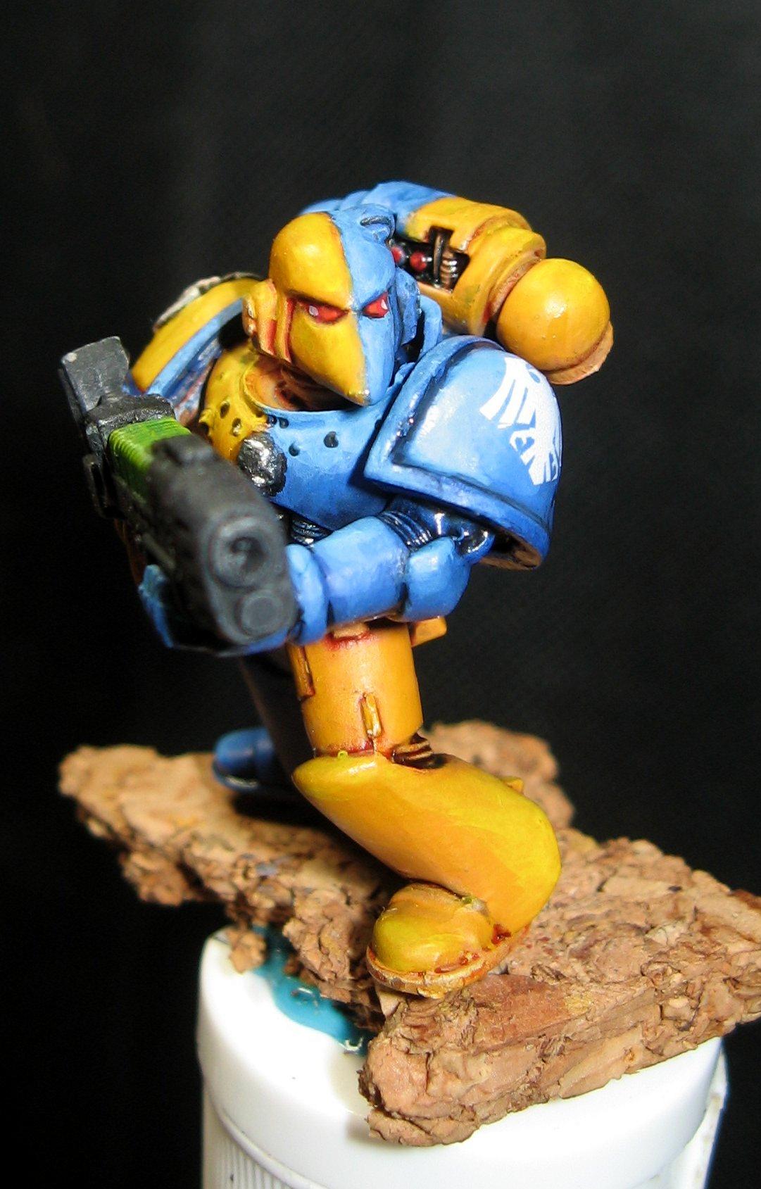 PlasmaVet1
