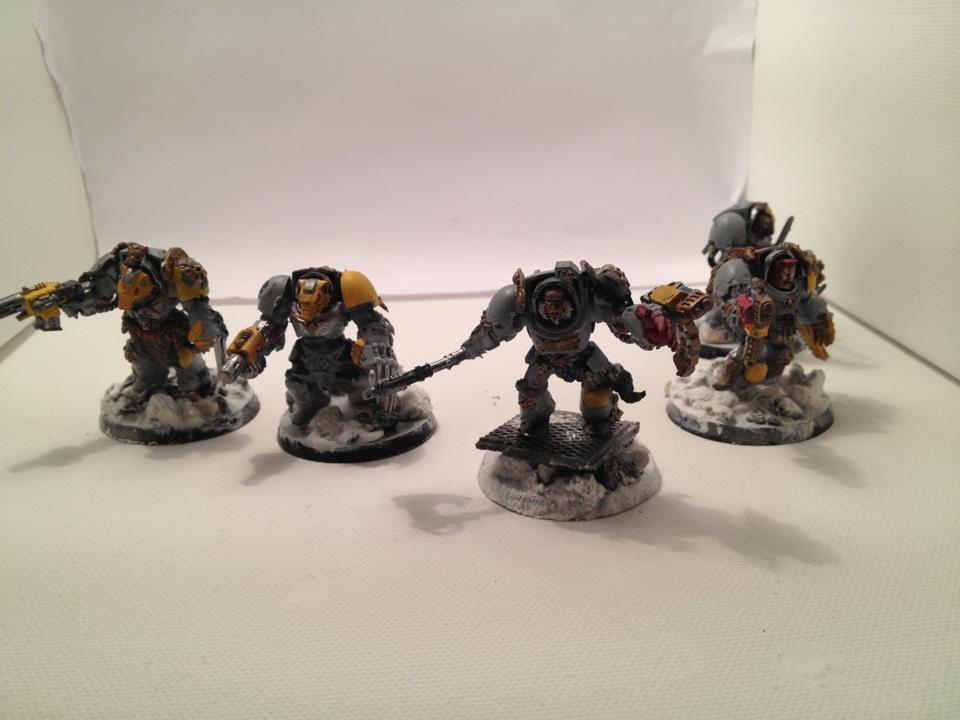 Nogoodpainting, Space Wolves, Terminator Armor, Wolf Guard