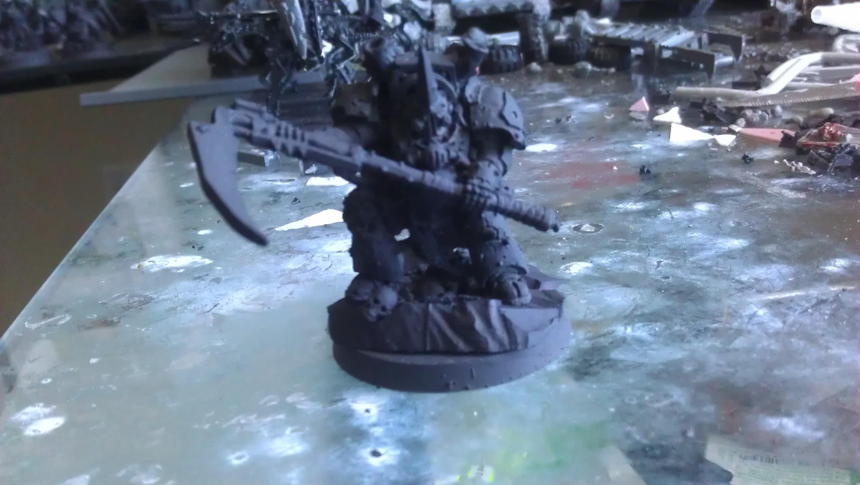 Typhus