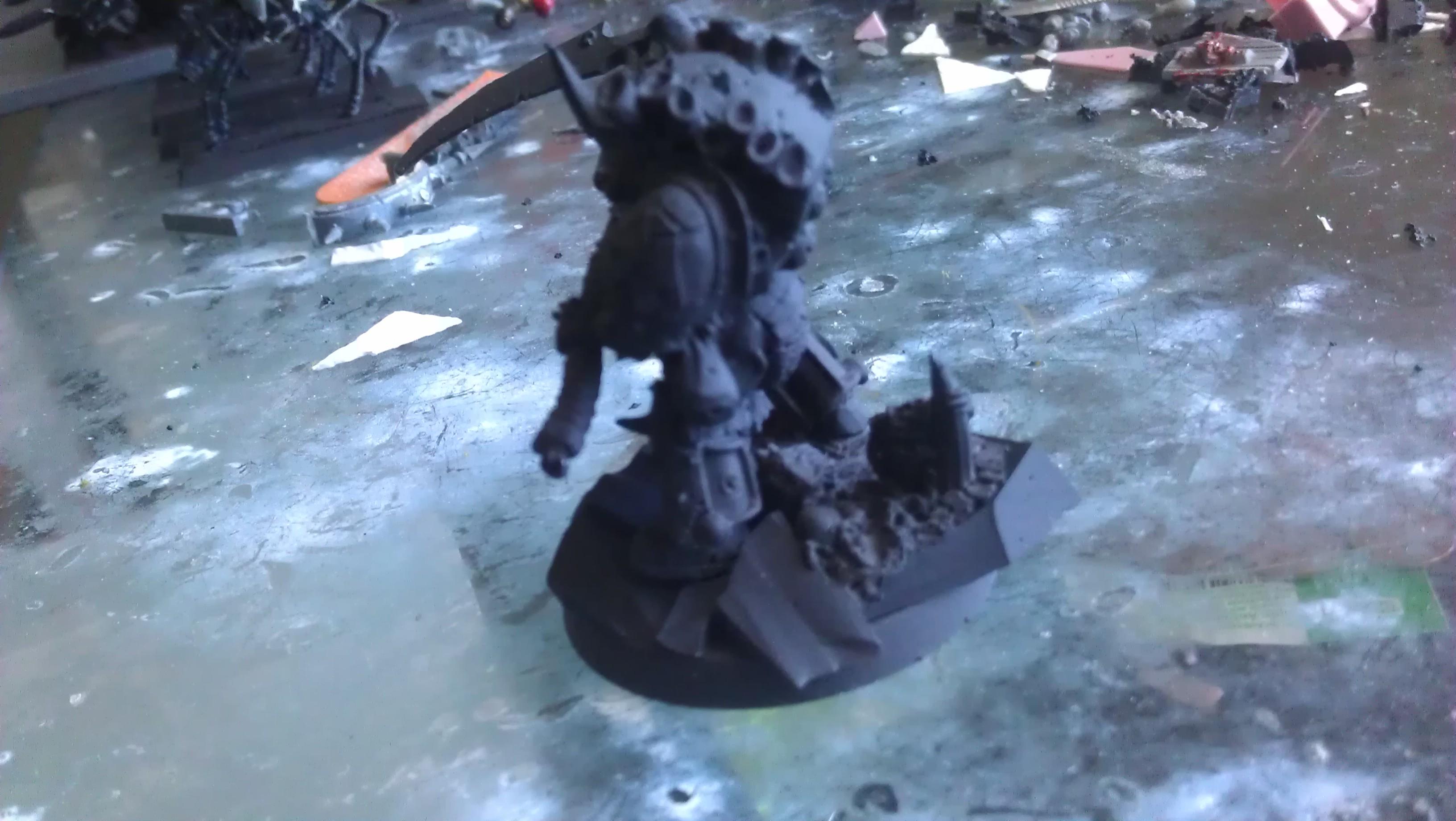 Typhus