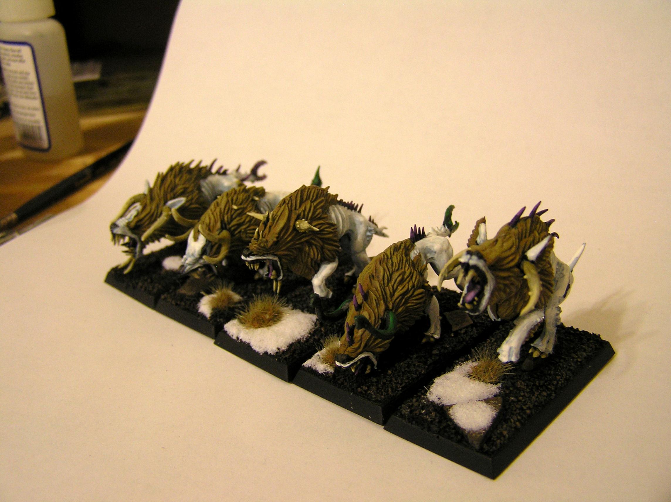 First hounds completed alt