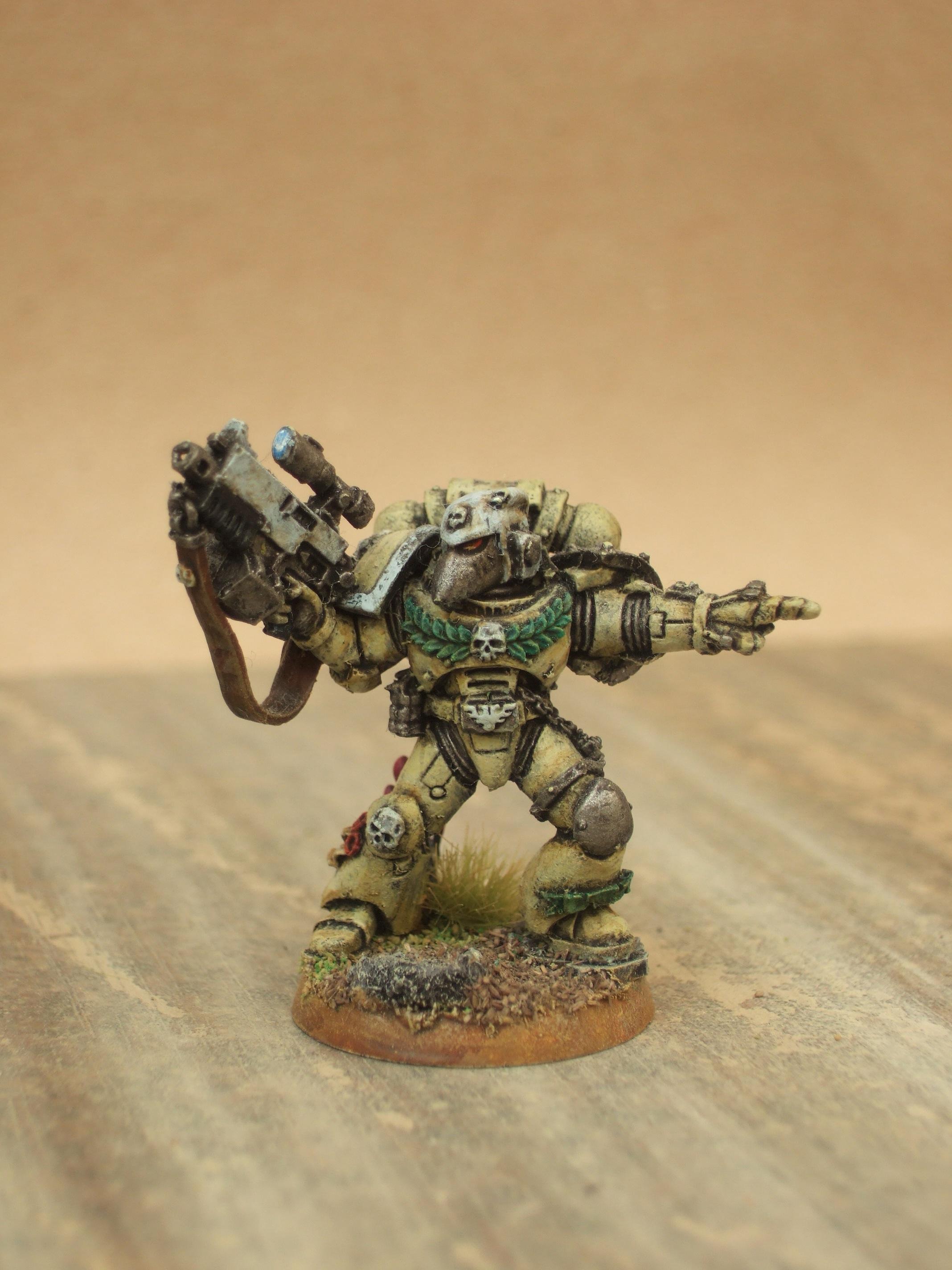 Space Marines, Veteran