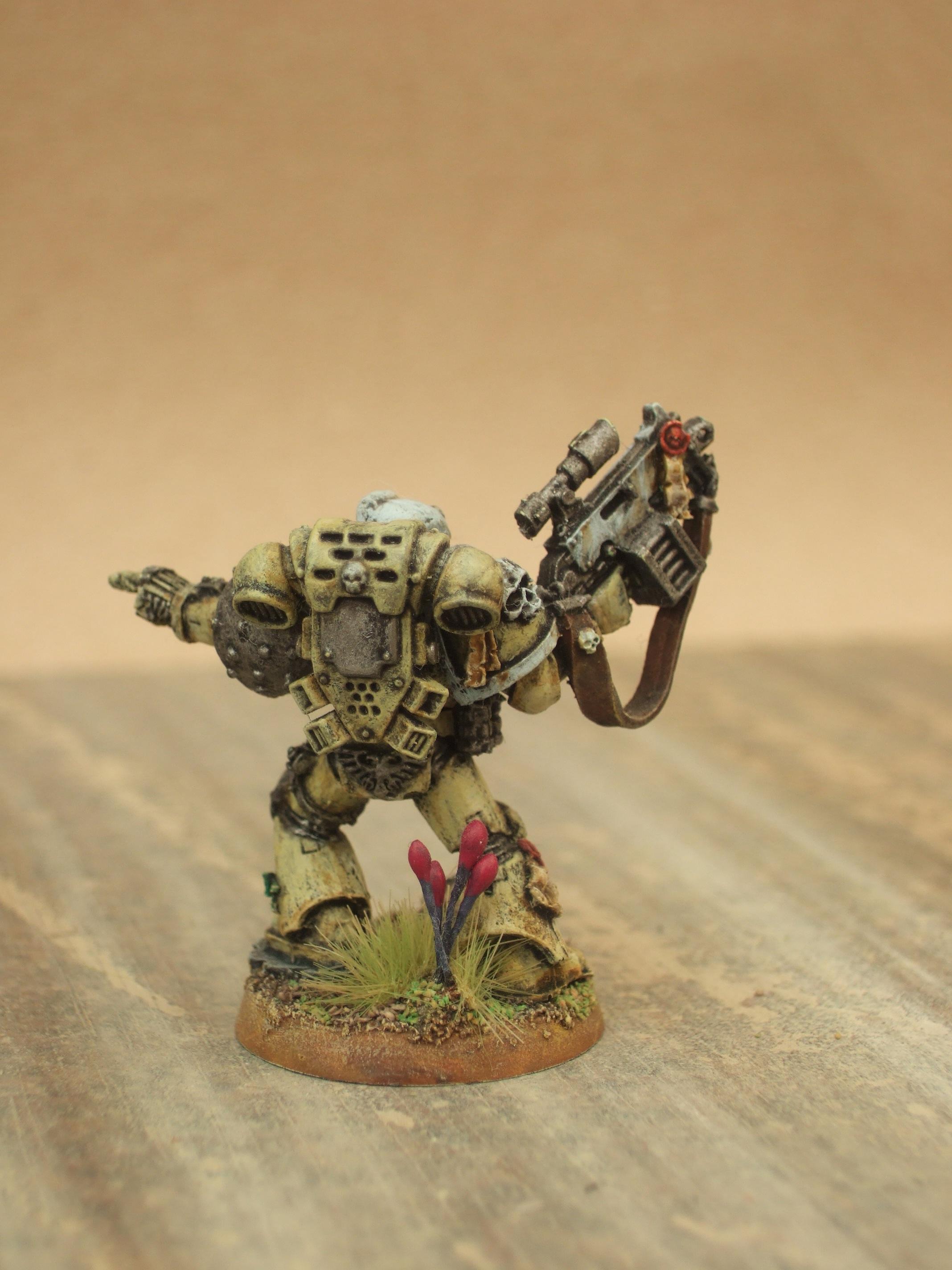Space Marines, Veteran