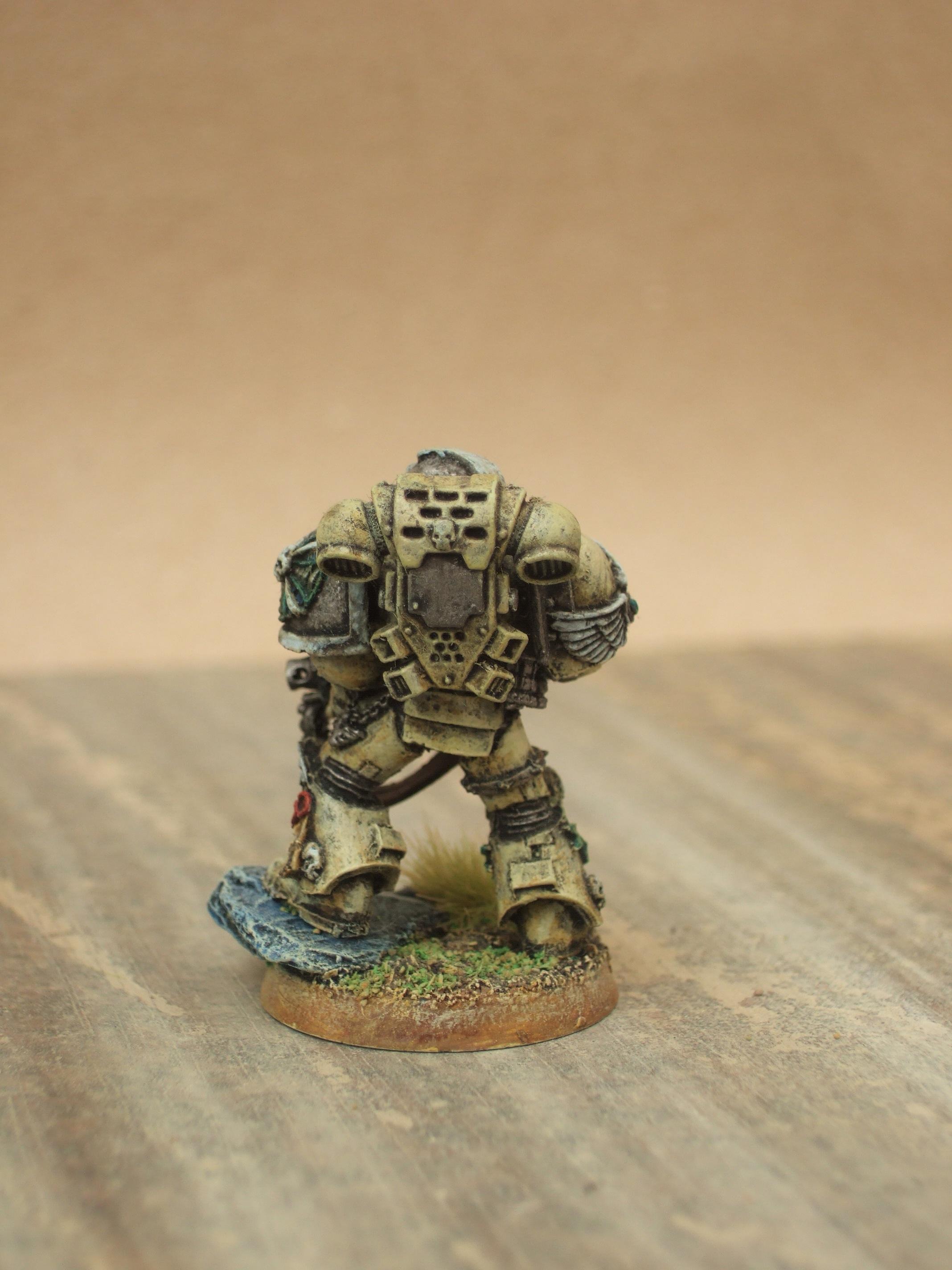 Space Marine Veteran
