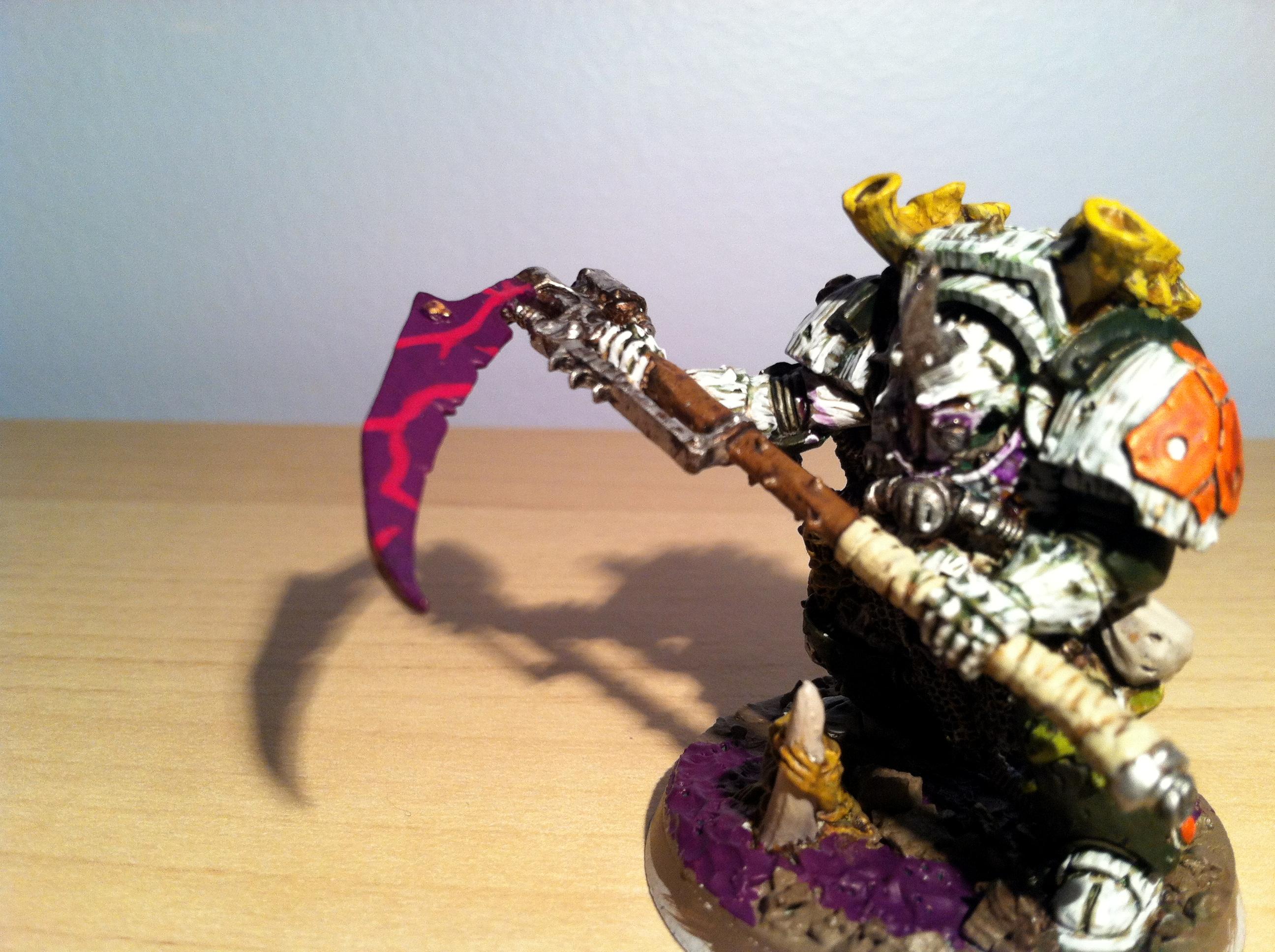 WIP Typhus 1